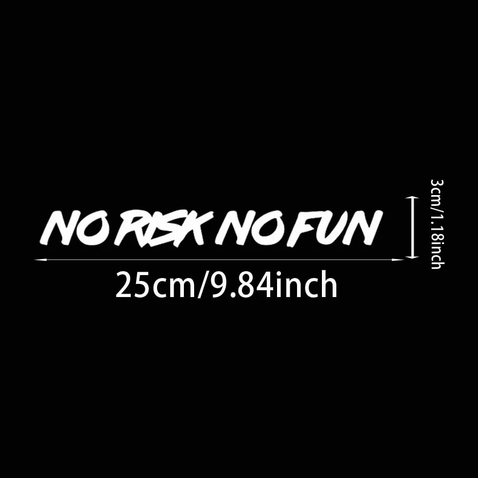 2 pezzi 25 x 3 cm, divertenti adesivi per auto "No Risk No Fun", autoadesivi per camion, moto, computer portatili, per interni ed esterni, #DZ77 (bianco)