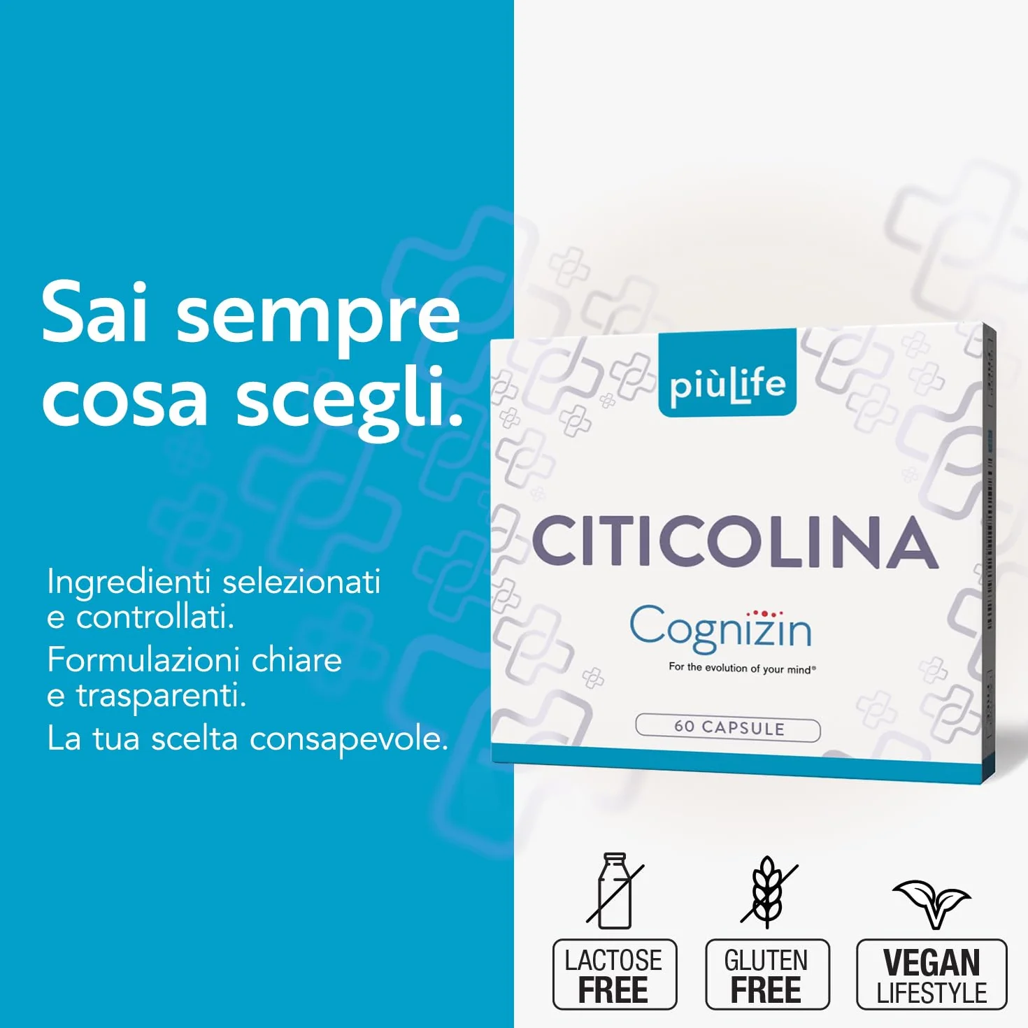 PiùLife Citicolina Cognizin 500 mg Integratore Memoria Concentrazione CDP Colina 2 Capsule