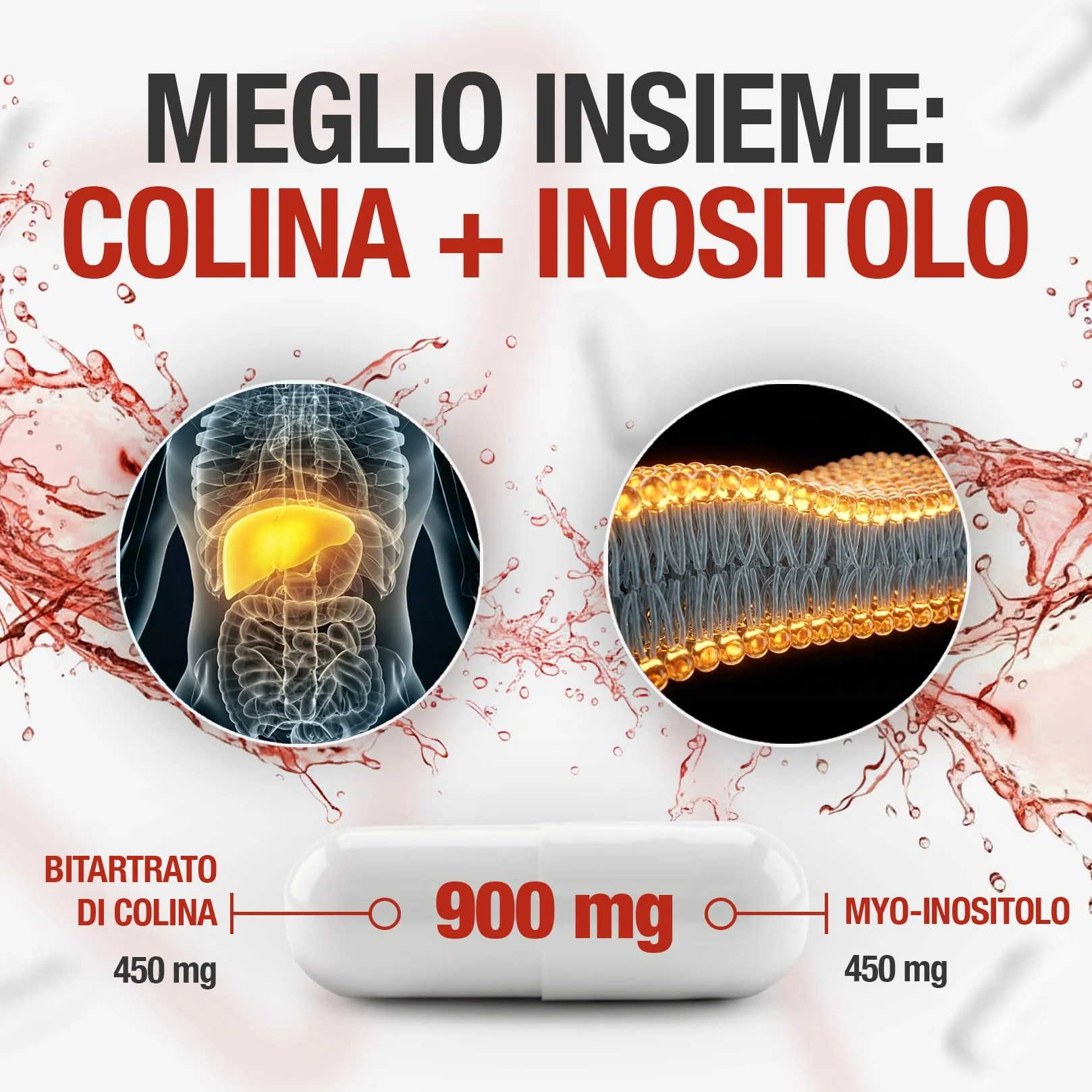 Colina e Inositolo Integratore Alto Dosaggio 900mg 70 Capsule Bitartrato di Colina Inositol Polvere Pura