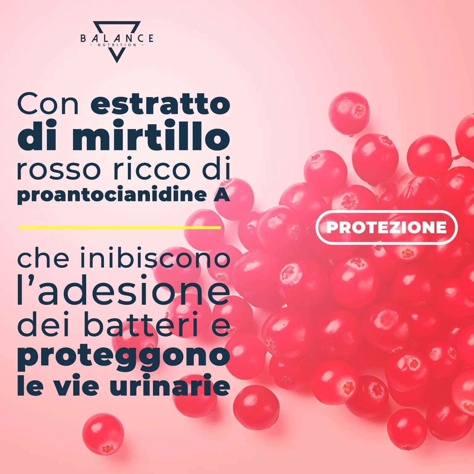 Probiotici e Prebiotici per la Flora Intima 200 Capsule 30 Miliardi CFU/giorno Lactobacillus Rhamnosus Reuteri Crispatus Fermentum Mirtillo Rosso