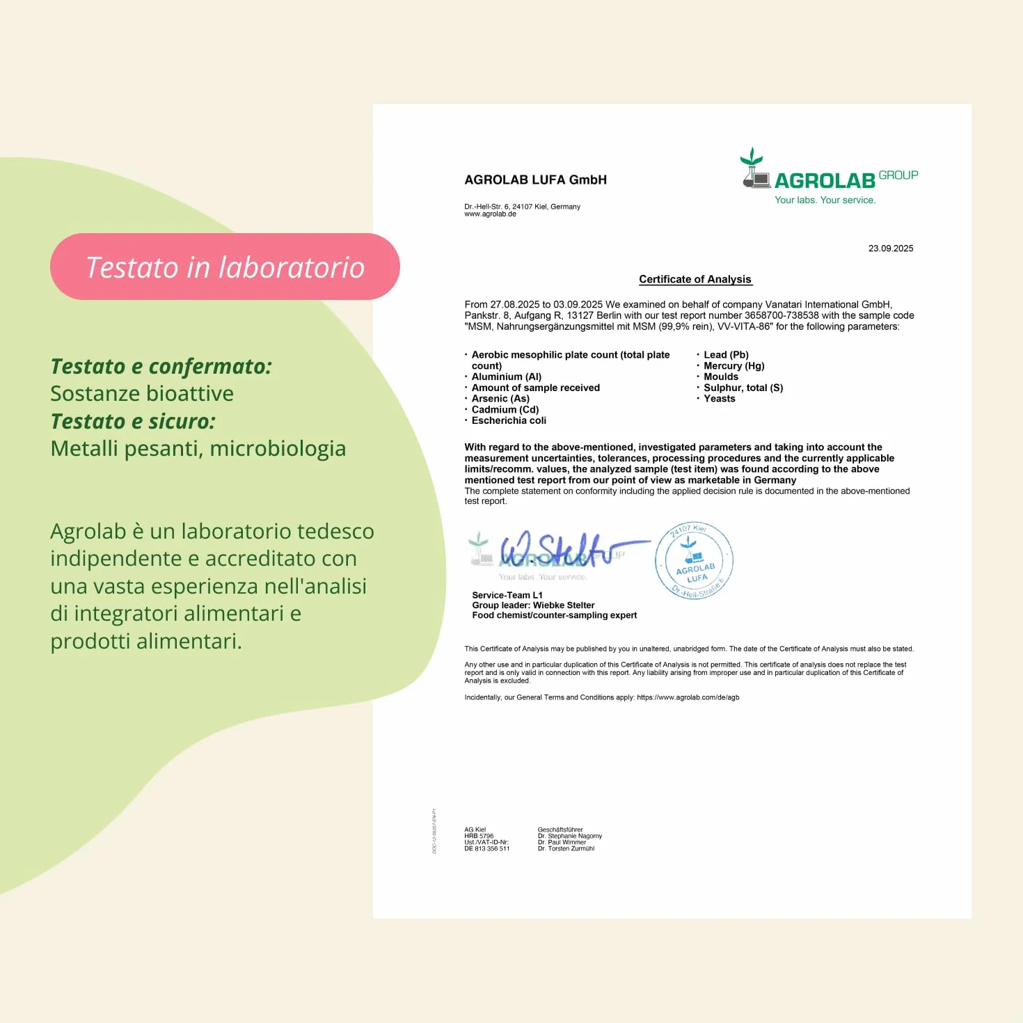 Vegavero® MSM Integratore 2000 mg 365 capsule Zolfo Organico puro 99,9% Articolazioni Unghie Capelli Vegan