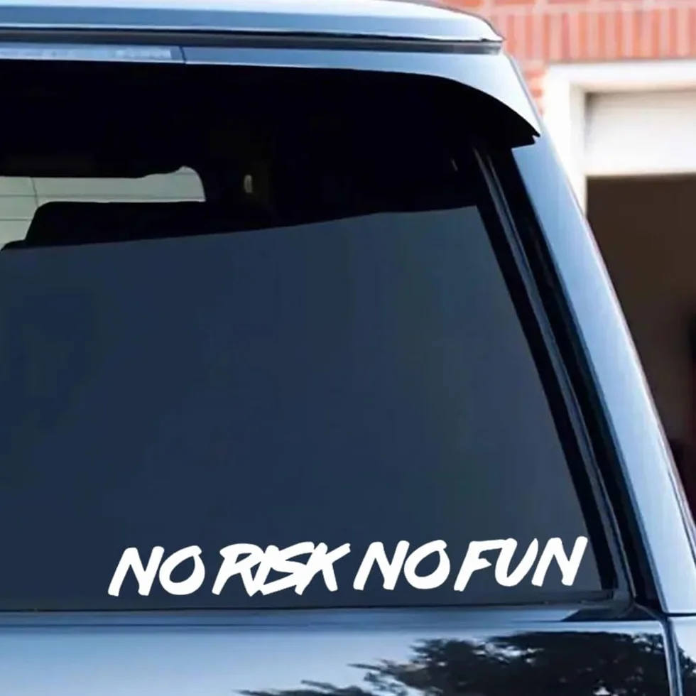 2 pezzi 25 x 3 cm, divertenti adesivi per auto "No Risk No Fun", autoadesivi per camion, moto, computer portatili, per interni ed esterni, #DZ77 (bianco)