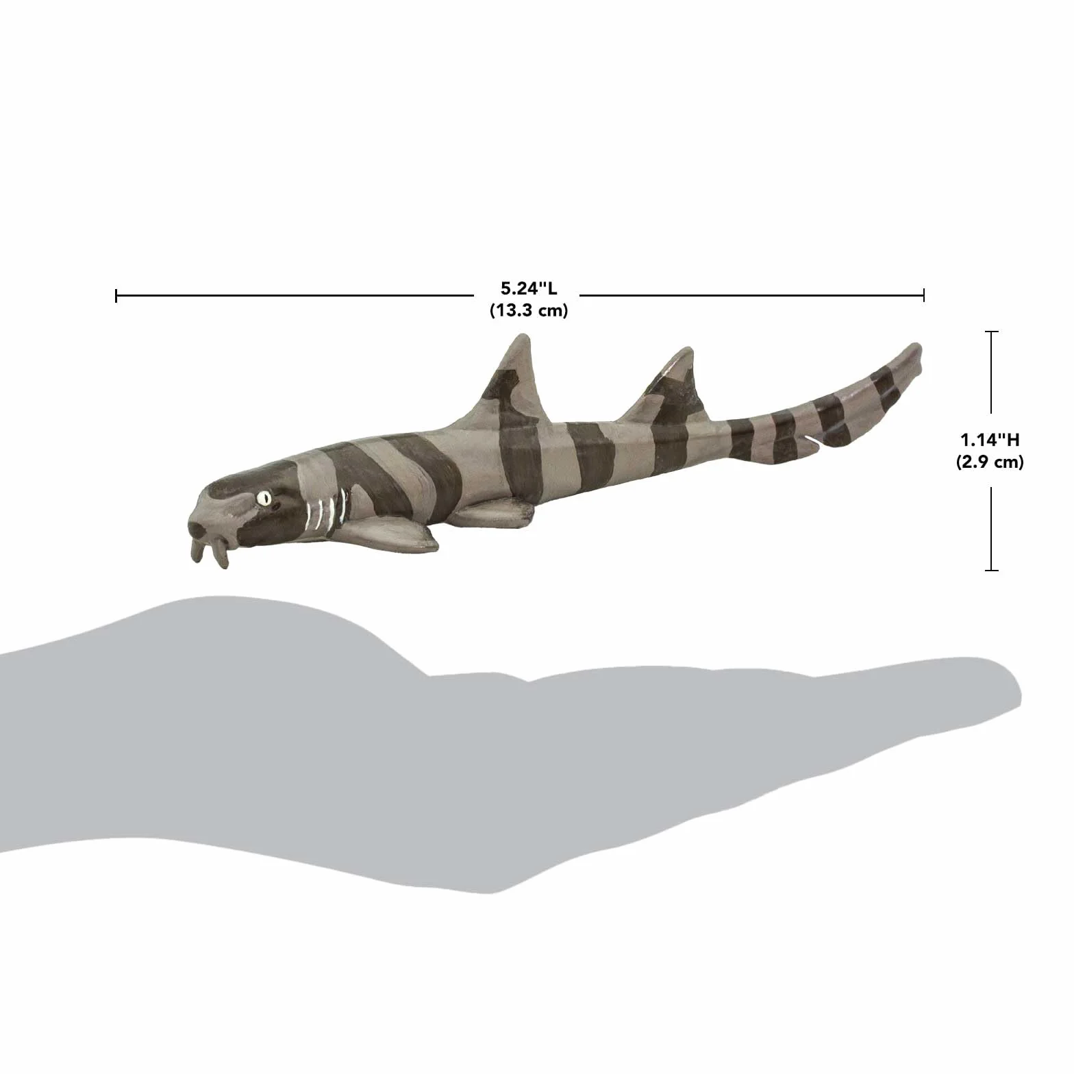 Bamboo Shark