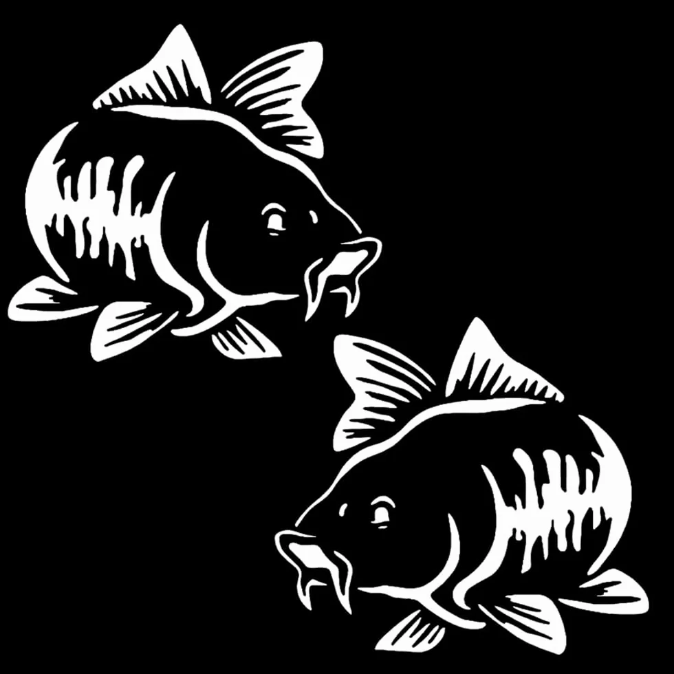 2 pezzi, 15 x 13,5 cm, autoadesivi con motivo carpa in vinile per paraurti e finestre, adatti per casa, tempo libero e pesca, per interni ed esterni | #DZ94 (bianco)