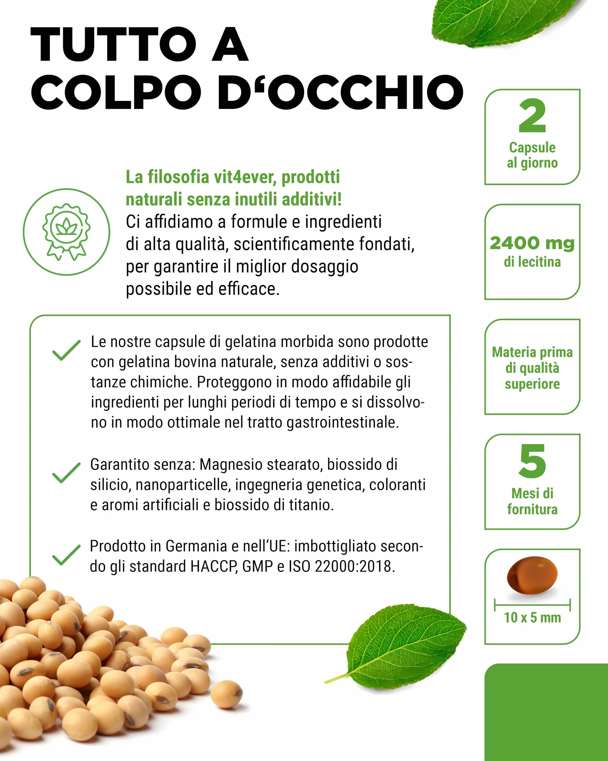 Lecitina 1200 mg 300 Capsule Morbide - Lecitina di Soia non OGM - Alta Dose