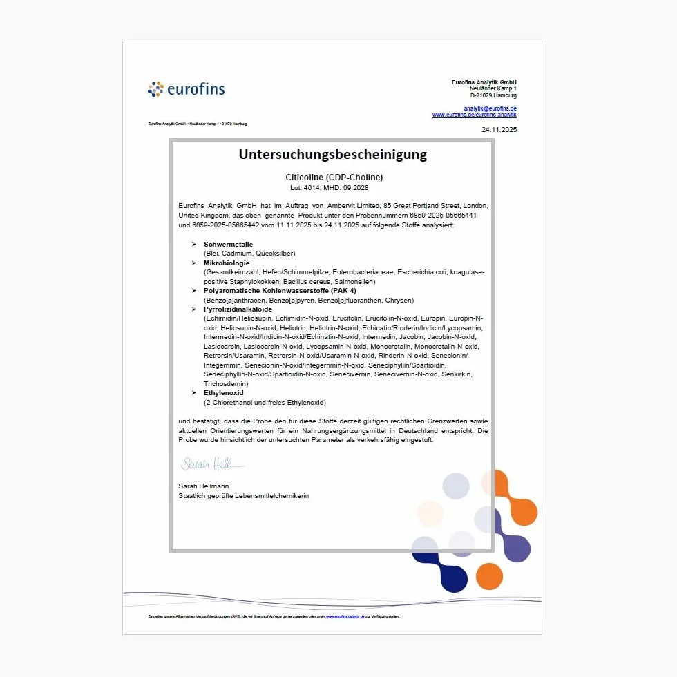 Ambervit Citicolina 250 mg 120 Capsule CDP Colina integratore alta concentrazione per memoria e concentrazione