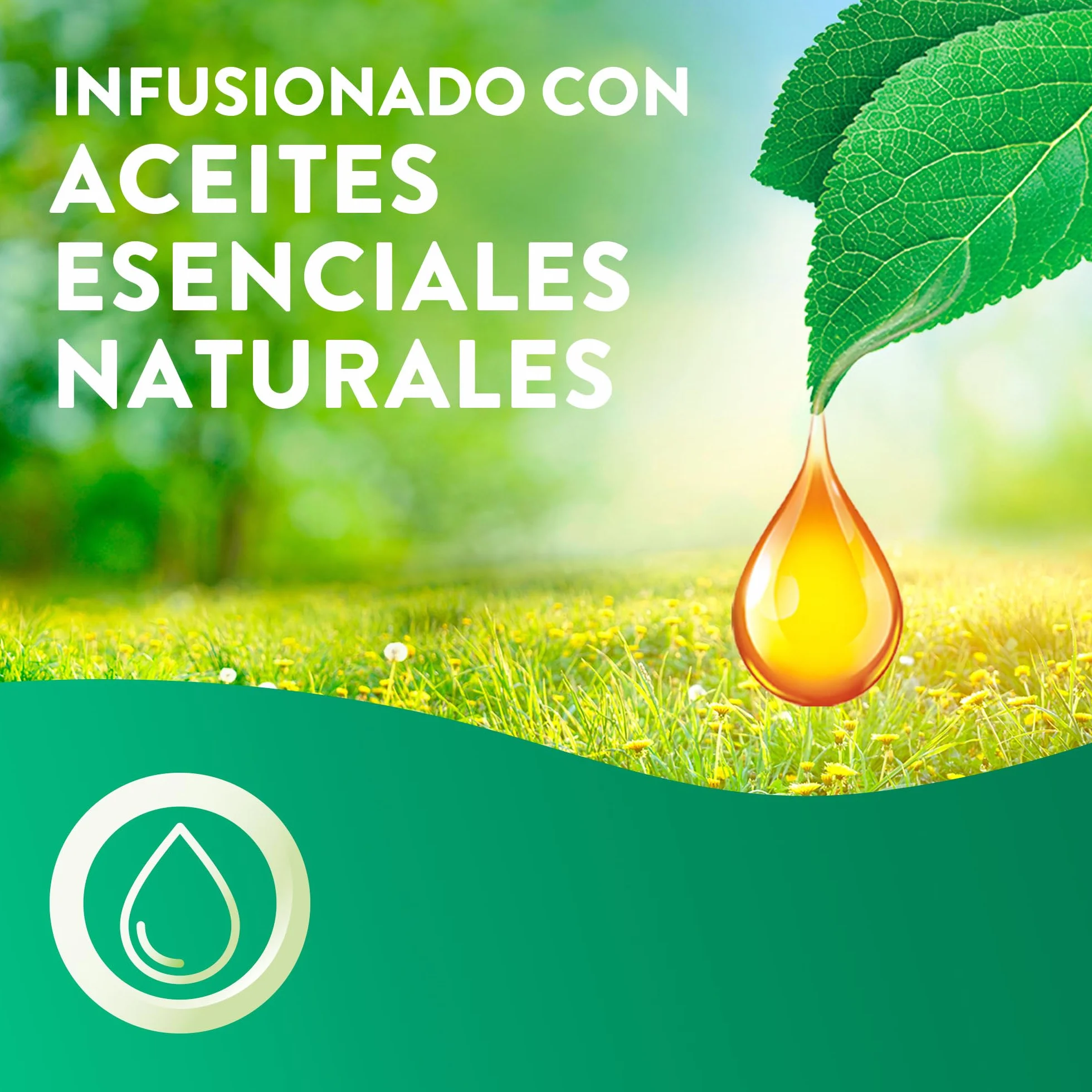 Air Wick Ricarica Oli Essenziali Armonia Istantanea 3x20ml Ciliegio Lamponi