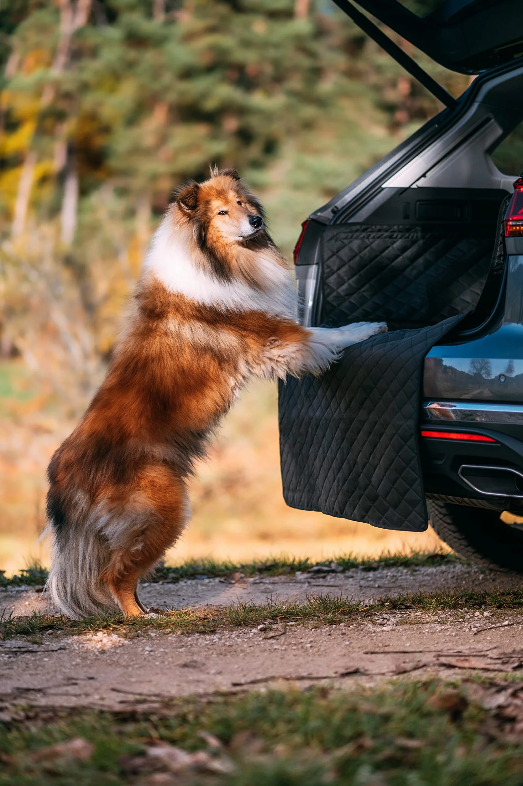 Rudelkönig Telo Auto per Cani Copertura Bagagliaio Auto Idrorepellente Rivestimento Bagagliaio per Cani Antiscivolo