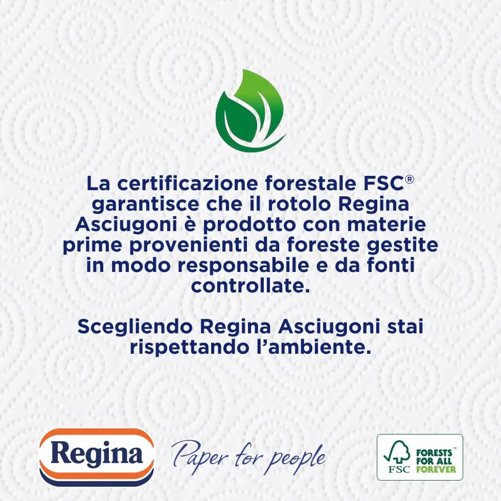 Regina Asciugoni Carta Cucina 2 Rotoli 2 Veli 100 Strappi Maxi Fogli FSC