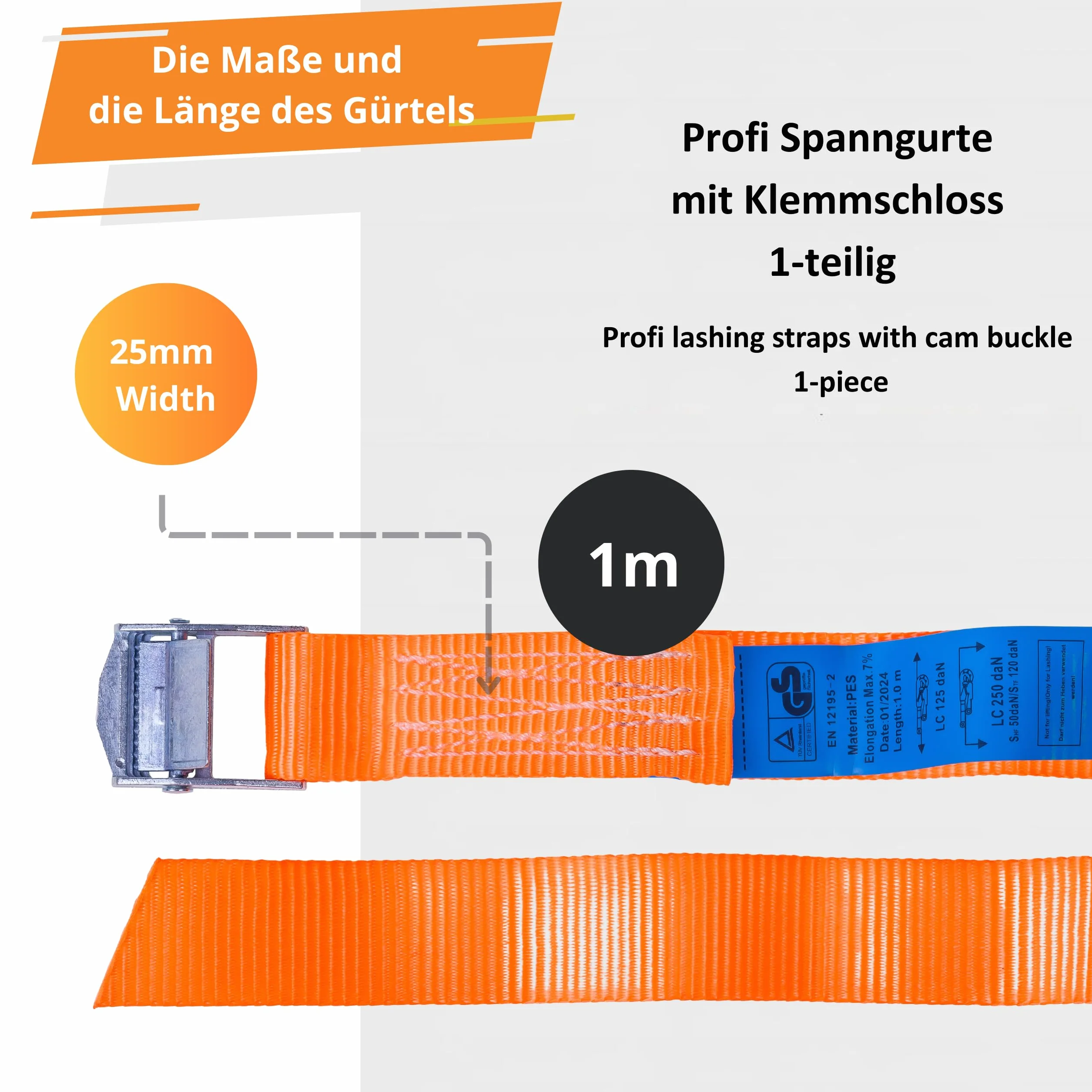 INTAKO Zestaw 4 Cinghie di Fissaggio 25 mm 250 kg Fibbia a Leva Cinghie di Tensione