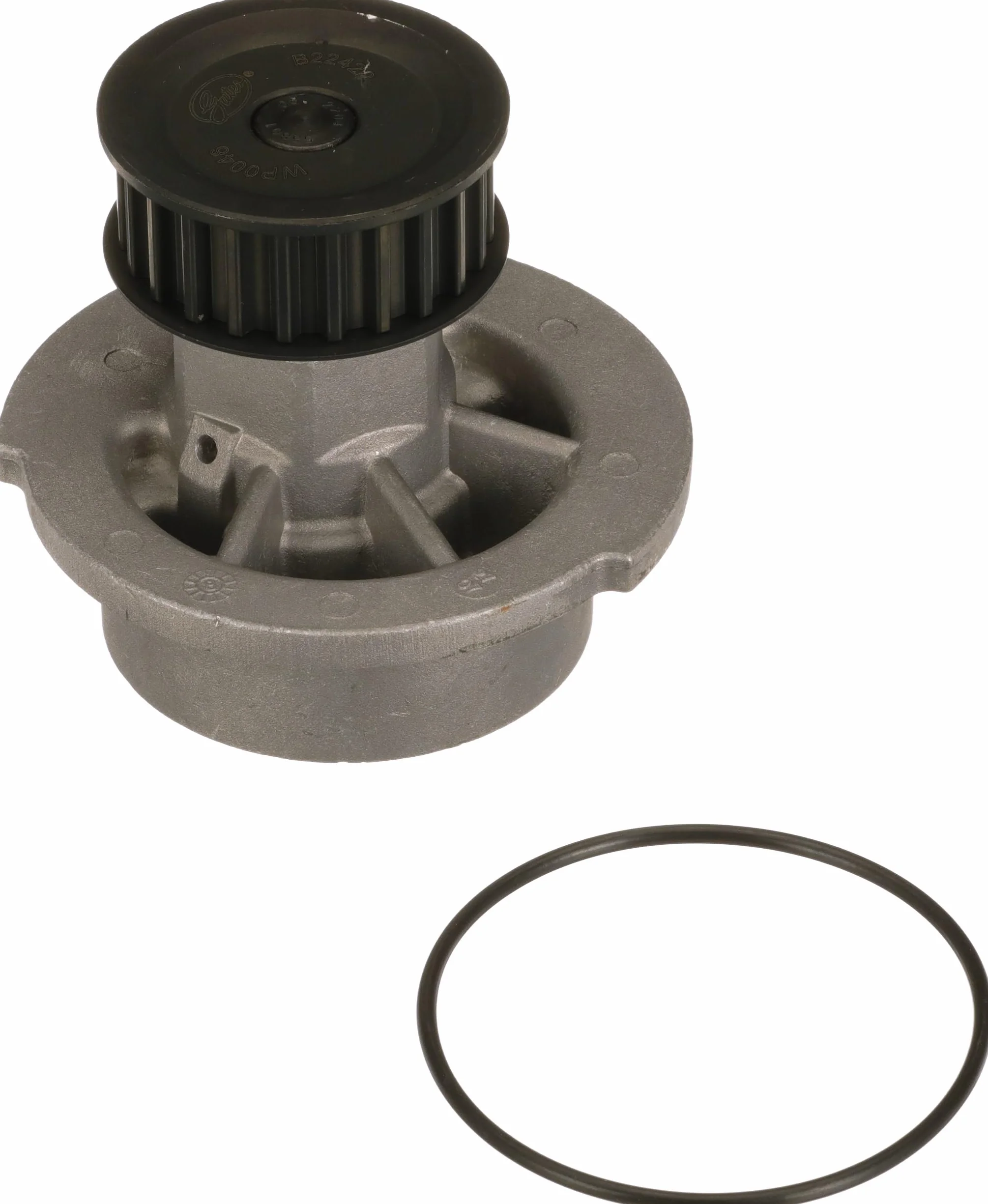 GATES KP15499XS-1 Kit cinghia distribuzione pompa acqua N° denti: 162 20 mm con pompa acqua Compatibilità con OPEL Zafira A T98 Astra G CC T98 Astra G Coupe T98 ASTRA G Cabriolet F67, VAUXHALL