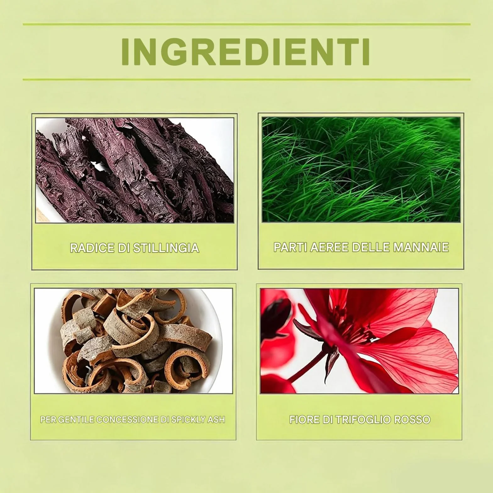 Erlona Drenaggio Linfatico Gocce, 2026 Nuovo Formula Erboristica Naturale, Adatte per Donne e Uomini (1 PC)
