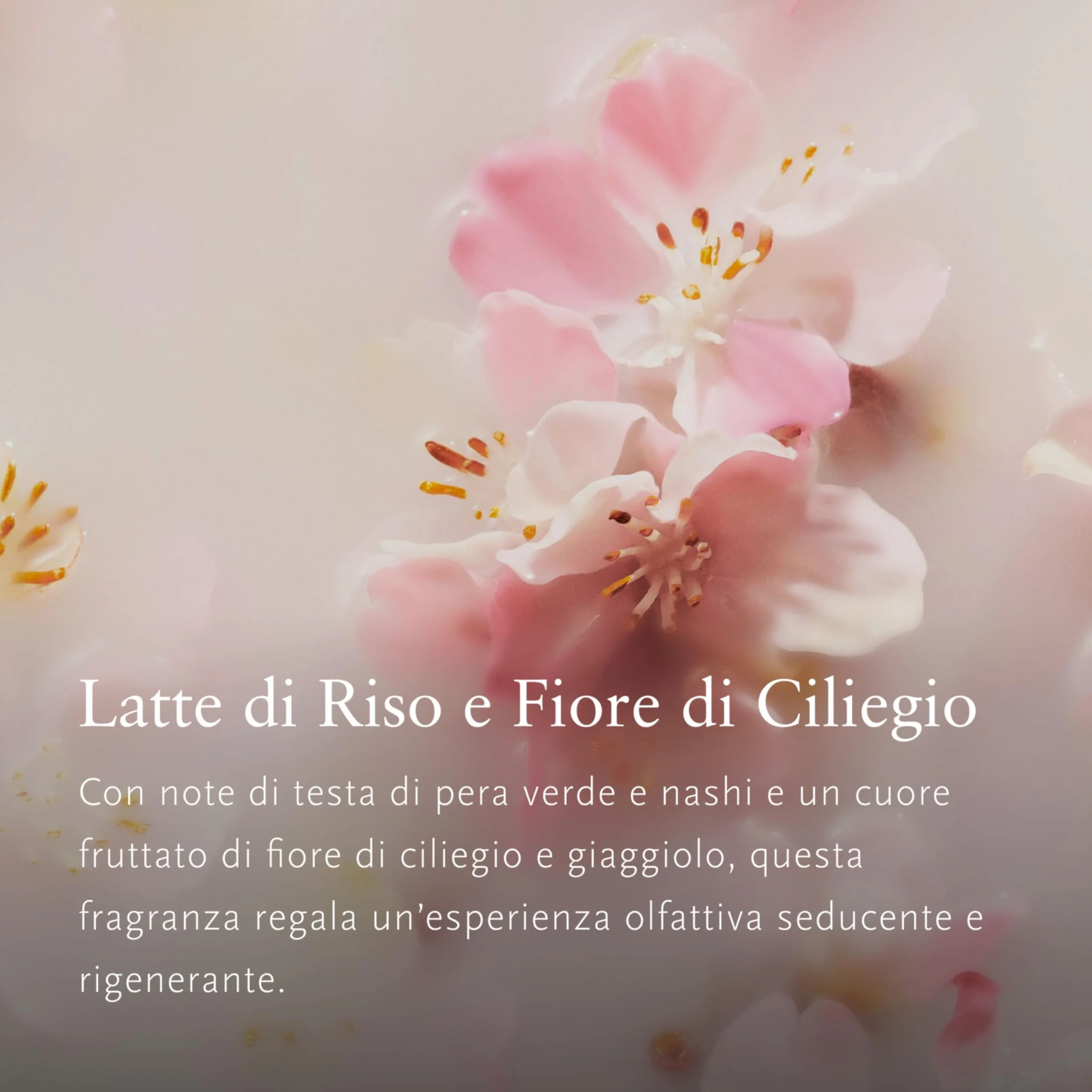 RITUALS The Ritual of Sakura Car Perfume Gift Set, profumo per auto ricaricabile con supporto in legno