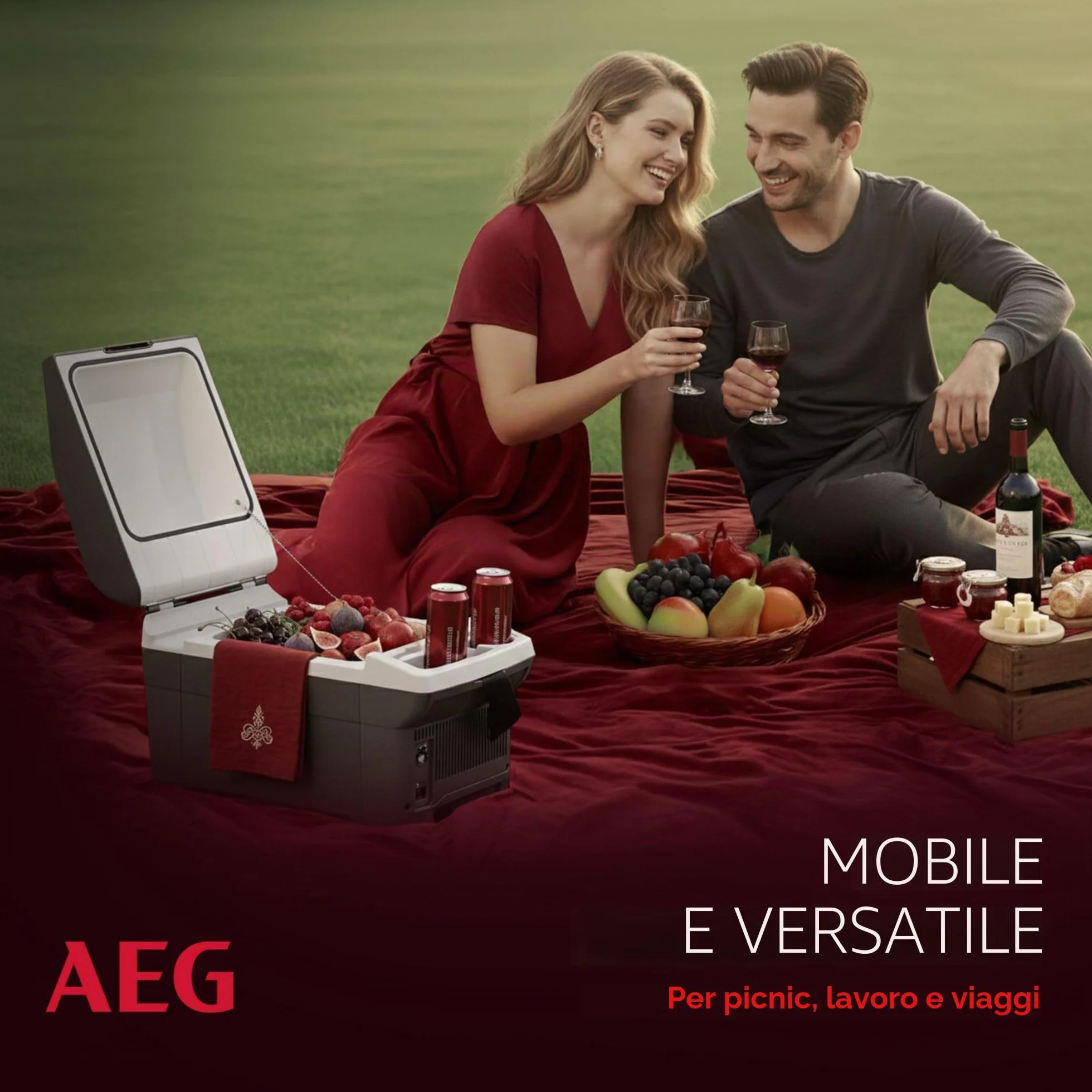 AEG Automotive Board-Bar BK 16 Contenitore termoelettrico refrigerante e scaldino 16 litri, 12 Volt per auto e presa elettrica, può essere fissato all'auto
