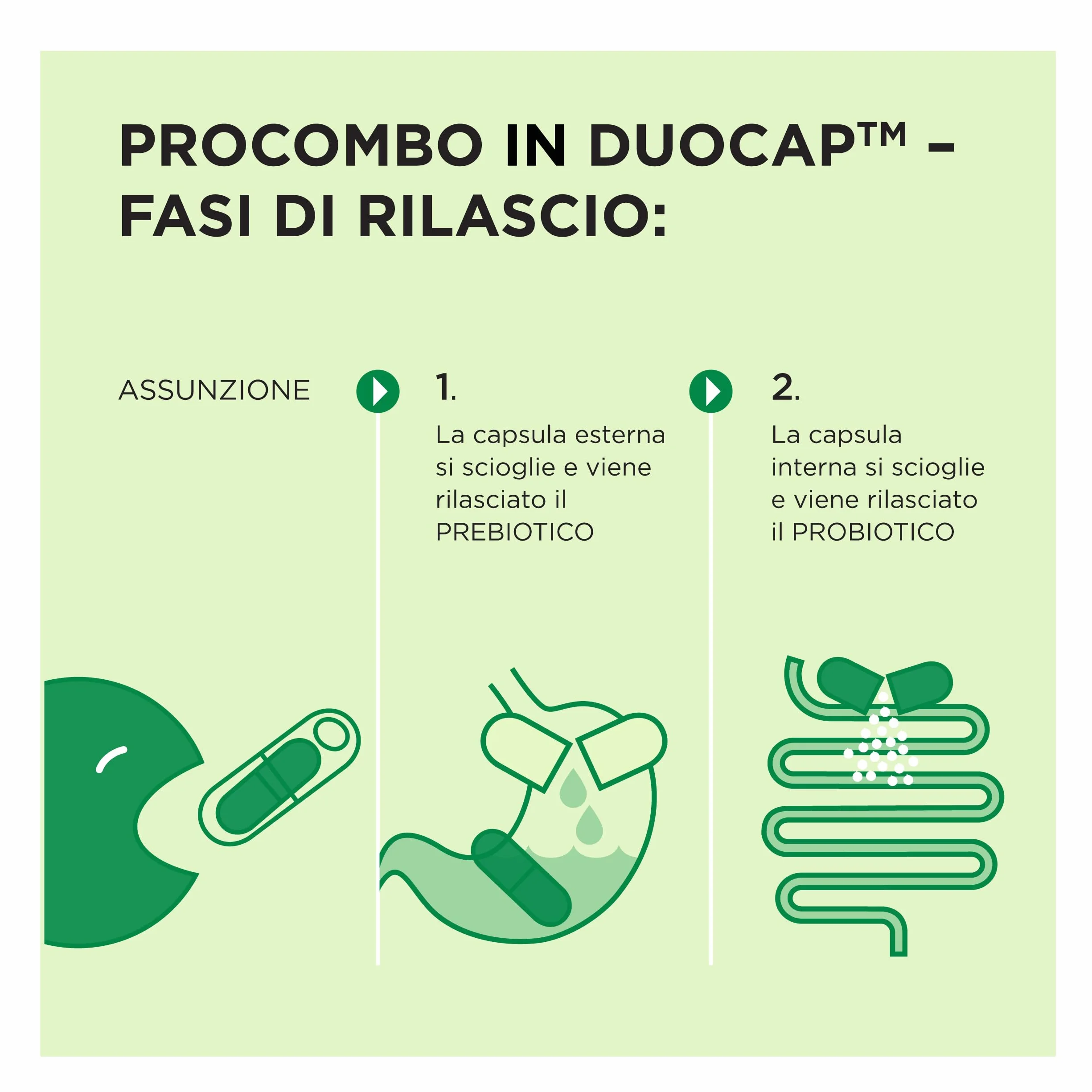 ProCombo Probiotico Intelligente con Azione Mirata dei Batteri Benefici Doppia Capsula 1 Pezzo