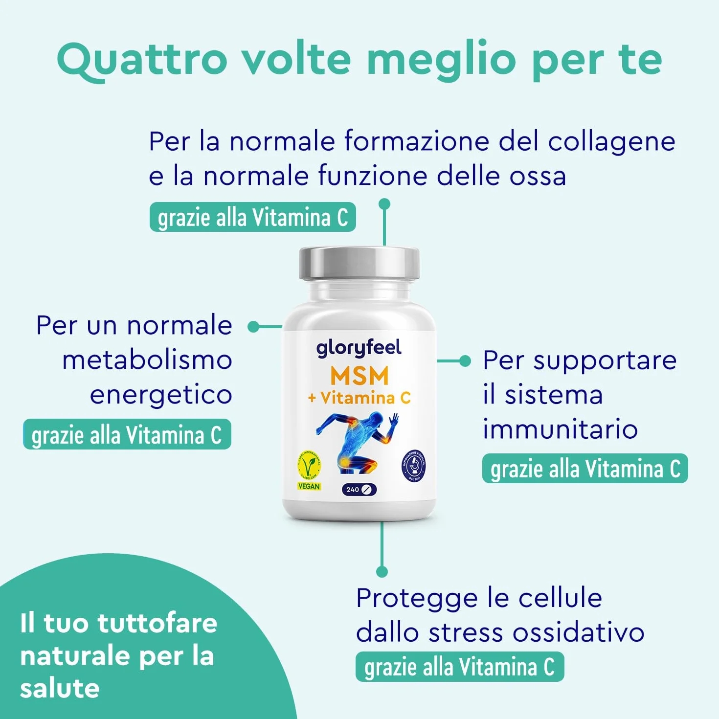 MSM 2000mg + Vitamina C Acerola 240 Compresse Alto Dosaggio - Metilsulfonilmetano Vegano per Ossa, Articolazioni, Pelle e Sistema Immunitario
