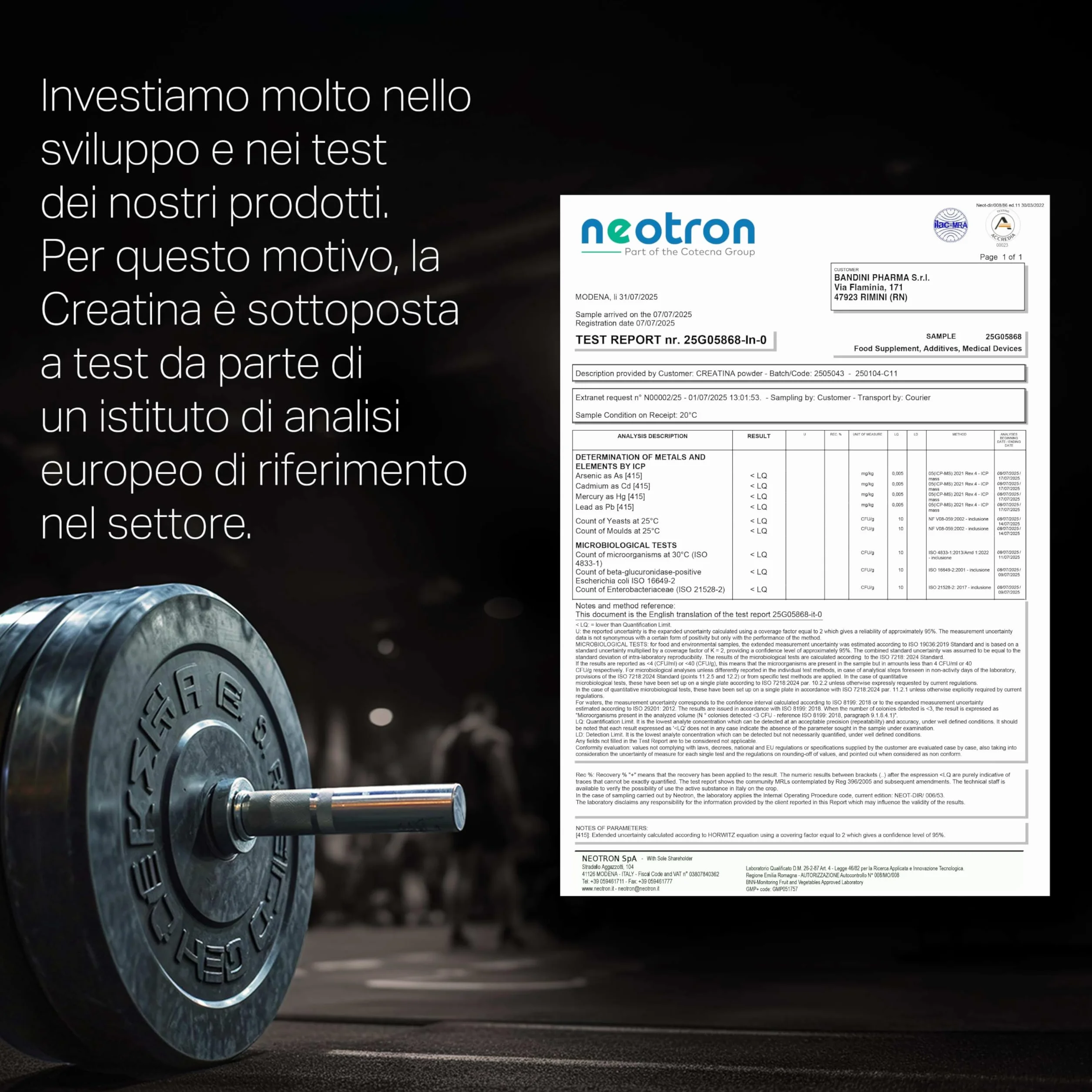 Bandini Creatina CREAPURE Monoidrata in Polvere Pura - Integratore per Sport e Pre Workout - 100% Vegan - 500g