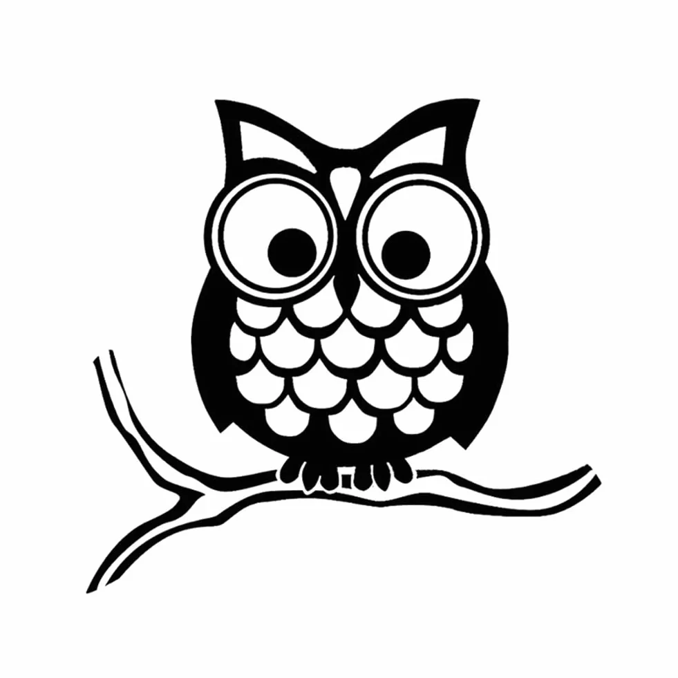 Adesivo per Auto con Gufo, 2 Pezzi Asudaro Adesivo Impermeabile in Vinile con Gufo Decalcomania Del Pvc di Hoot Owl Adesivi per Decorazioni per Auto per Auto Camion Vans Pareti 13.5cm X 13cm