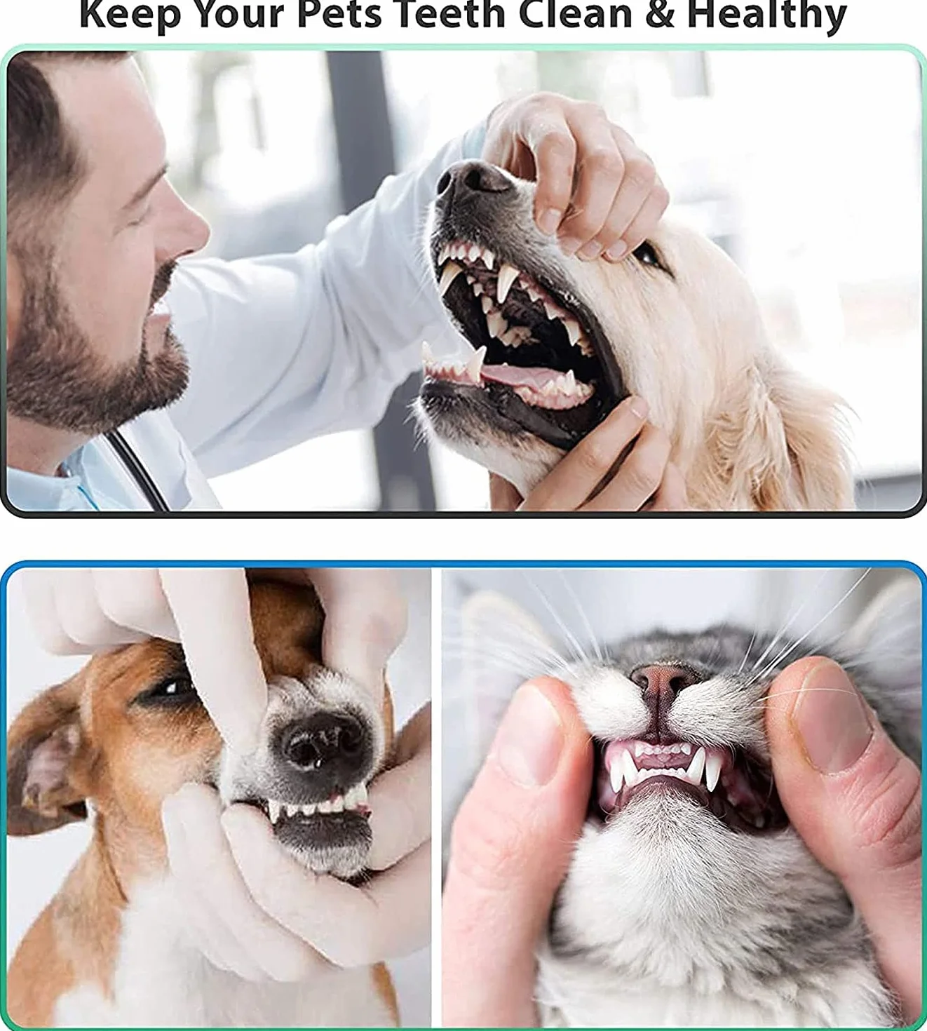 Kit Igiene Orale Dentale con Specchietto in Acciaio Inossidabile 4 Pezzi