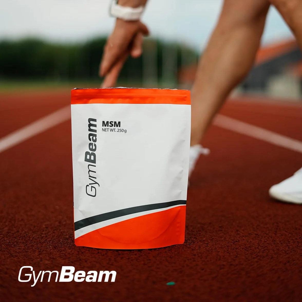 GymBeam MSM Integratore Articolare Vegano in Polvere 250 g per Salute di Articolazioni, Ossa, Tendini e Cartilagini