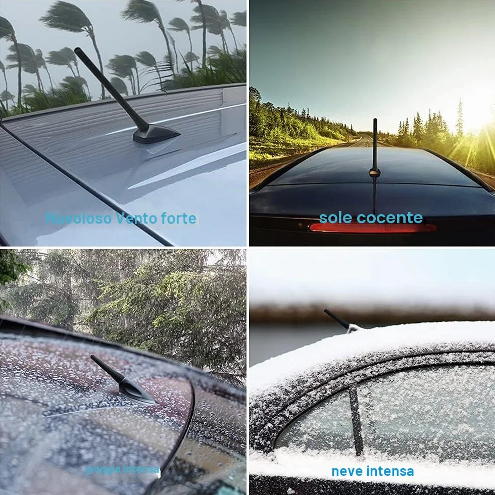 Antena Universale per Auto 6,5cm + 18,5cm FM/AM/DAB con Viti M4 M5 M6