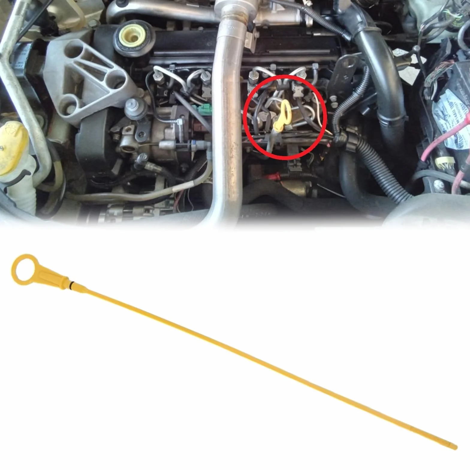 Asta Livello Olio Motore 7701060939 Compatibile Renault Clio 2 Kangoo Twingo 2 Dacia Logan Sandero Nissan Qashqai Micra Tiida Bacchetta Livello Olio