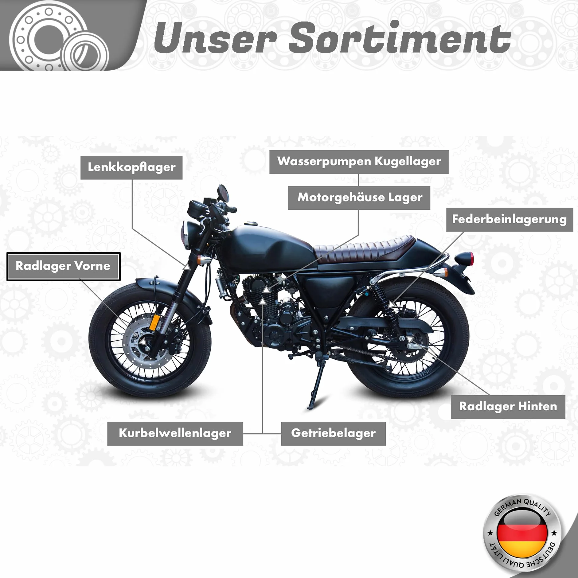 Cuscinetto ruota anteriore compatibile KTM Adventure Duke Enduro EXC EXC-F LC4 MXC Rally RC8 Rally SMC SX