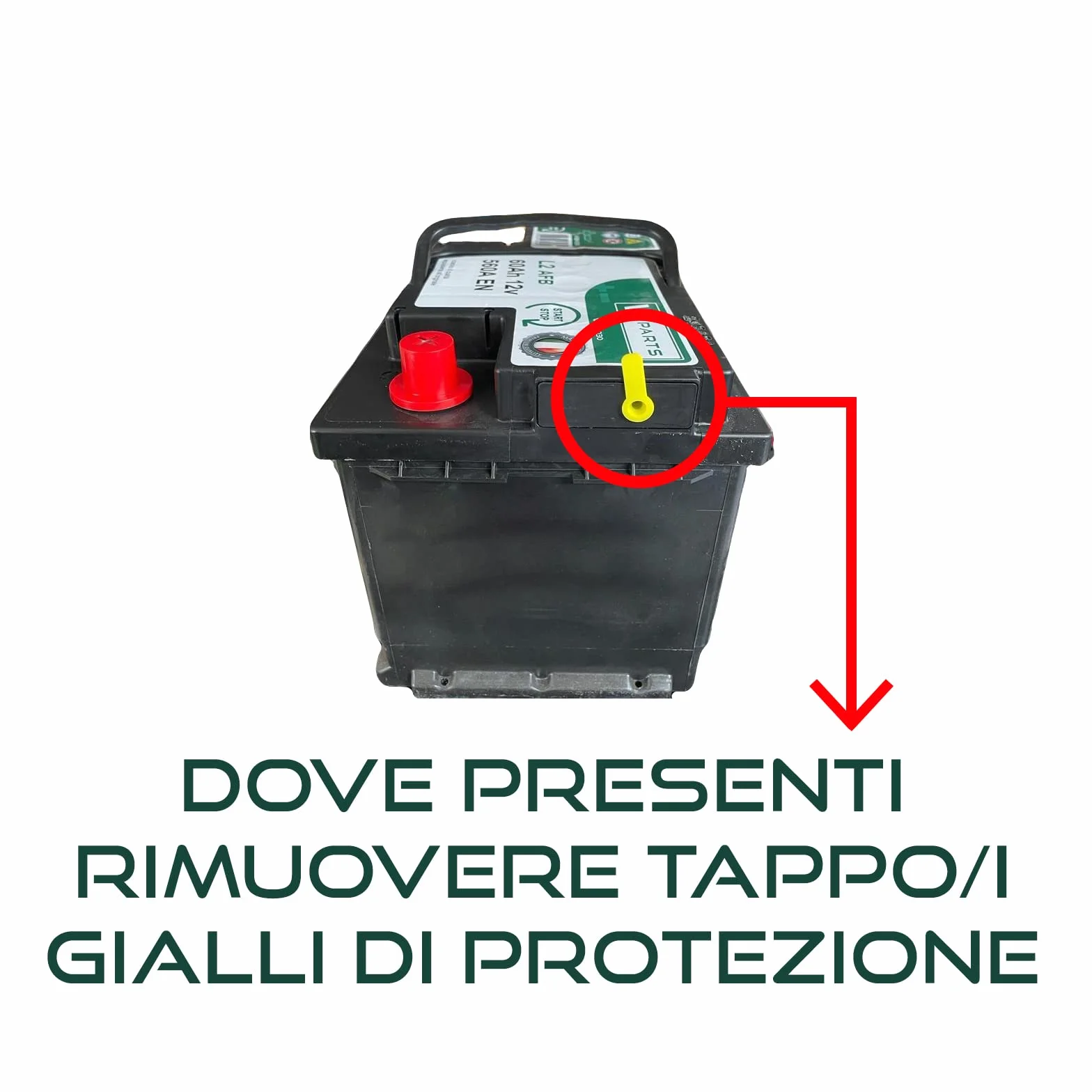 BATTERIA AUTO 80 Ah 750A 278x175x190