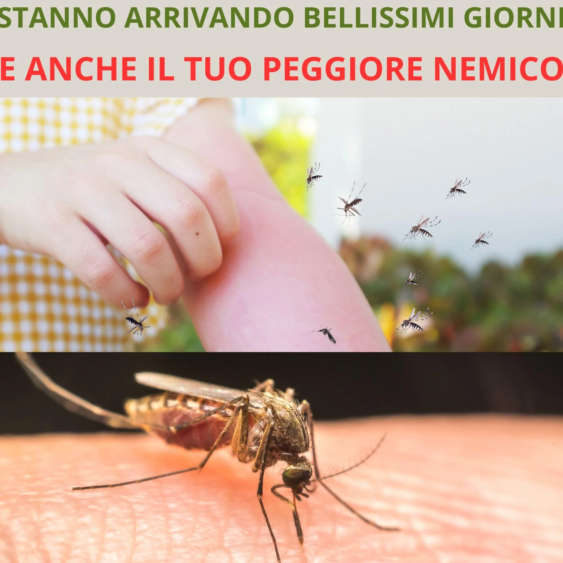 Spray Repellente Antizanzare Tropicale 100 ml Protezione Eucalipto Citriodiolo 6h