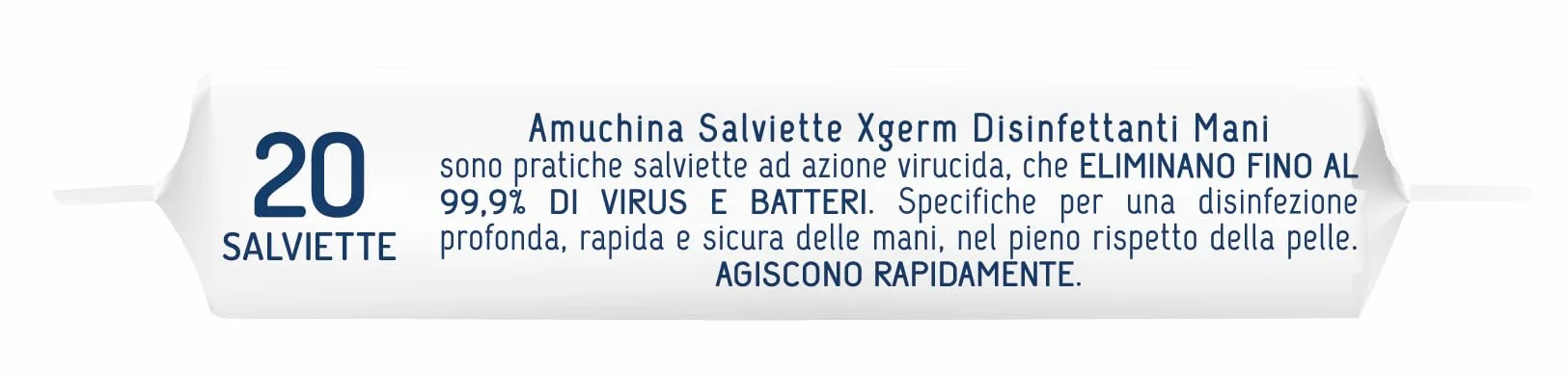 Amuchina Xgerm Salviettine Mani, 6 x 20 Salviette
