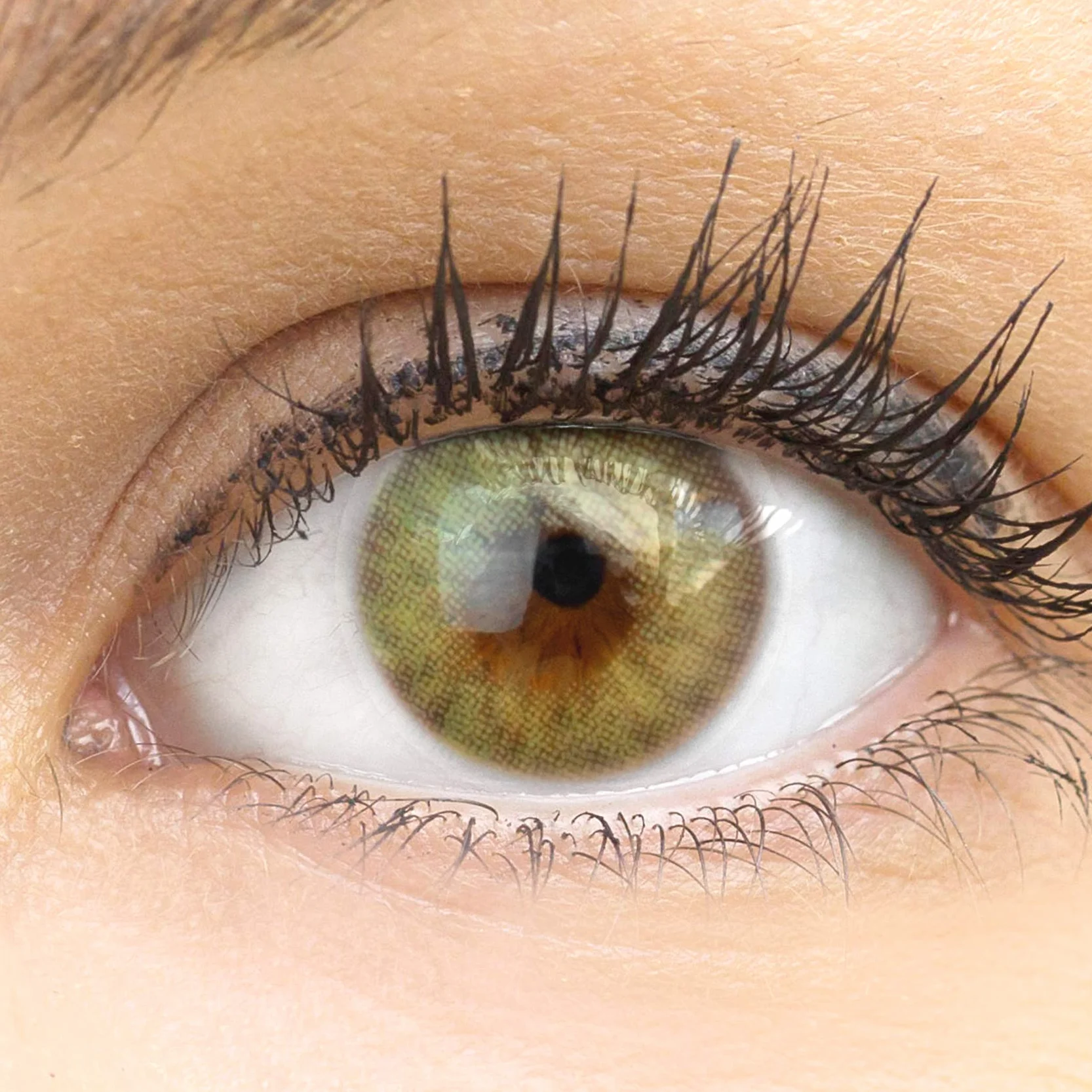GLAMLENS Lenti a Contatto Colorate Verdi Bozen Green Mensili - Silicone Idrogel 2 Pezzi DIA 14.00