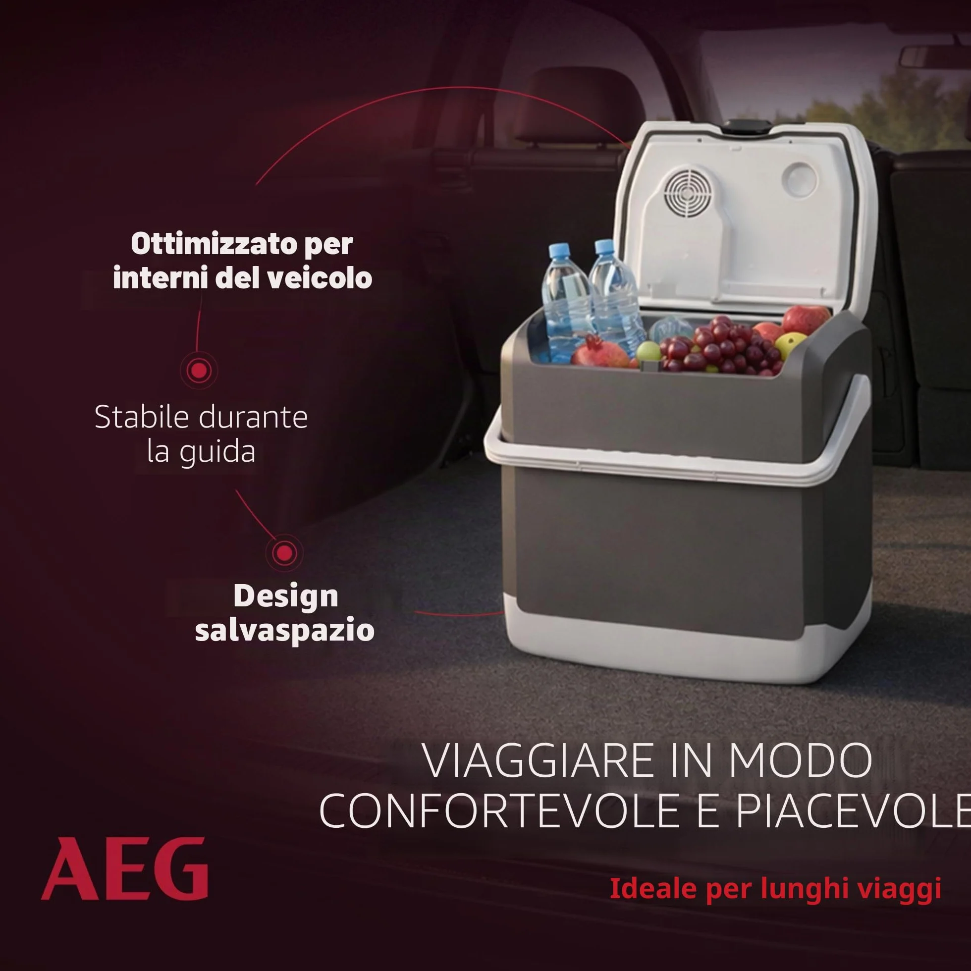 AEG Automotive Thermoelectric Cool Box KK 20 Litri, 12/230 Volt per Auto e Presa, Grigio
