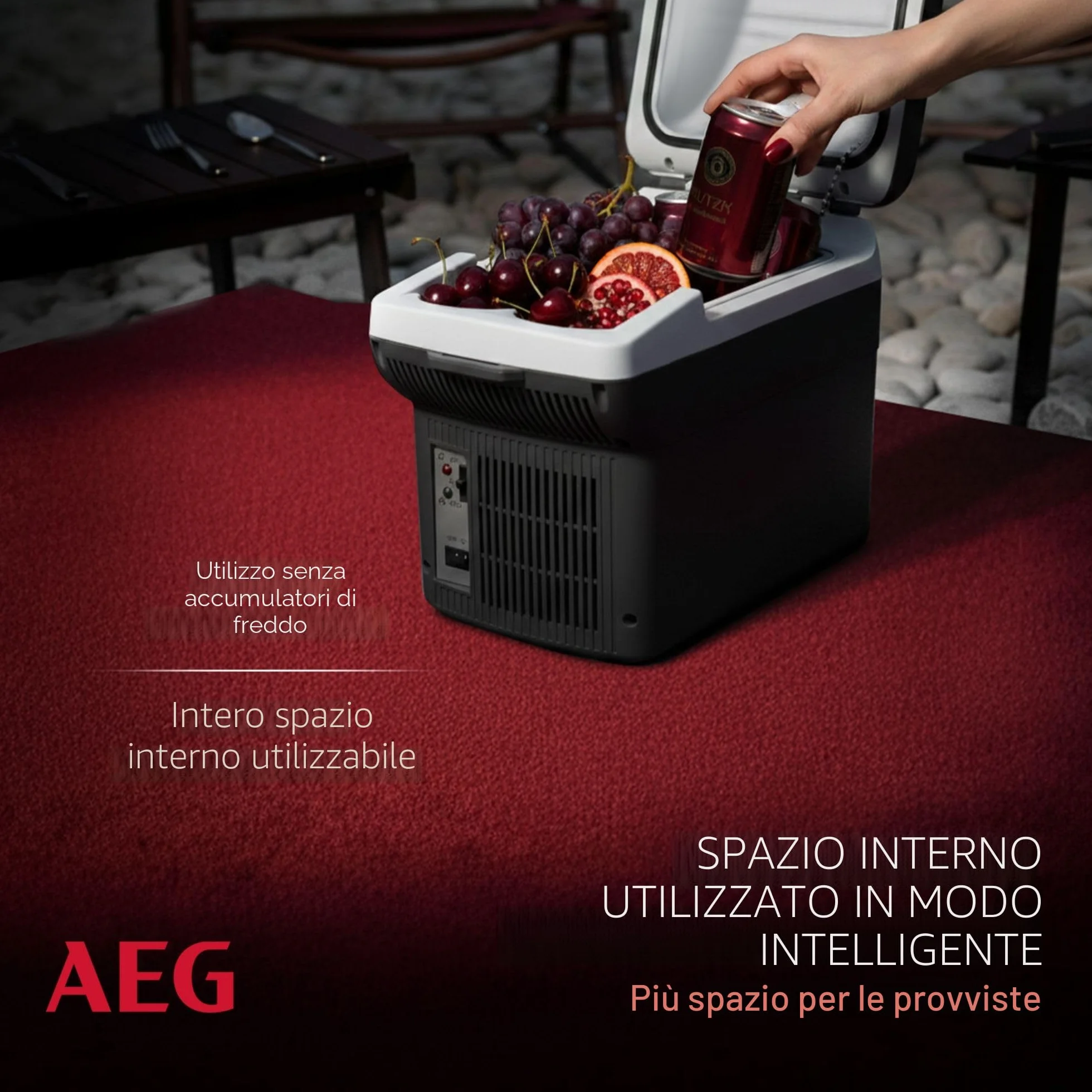 AEG Automotive 10693 Board-Bar BK 6-Contenitore termoelettrico da 6 Litri, 12/230 Volt, Presa, richiudibile in Auto, 6 Liter