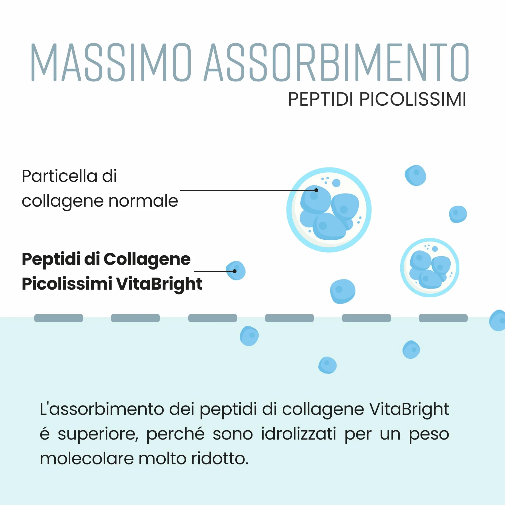 VitaBright Collagen in Polvere 500g Peptidi di Collagene Idrolizzato Bovino Tipo 1 e 3 Grass Fed Puro