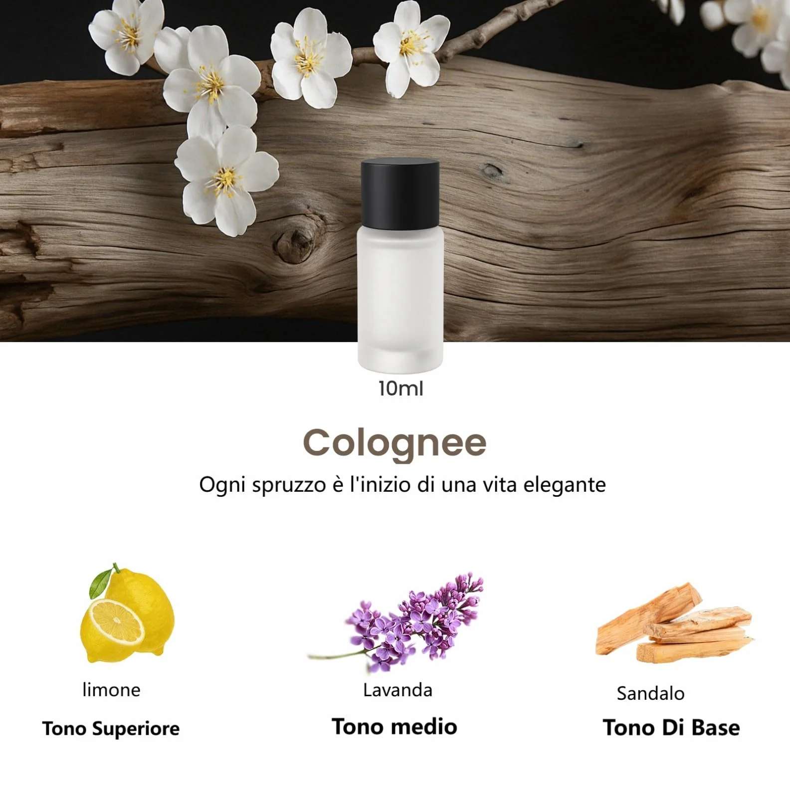 Clip Profumo per Diffusore Auto CFK-3Z CFK-6Z 30 ml (3×10 ml) Cologne Chanell Hiltonn