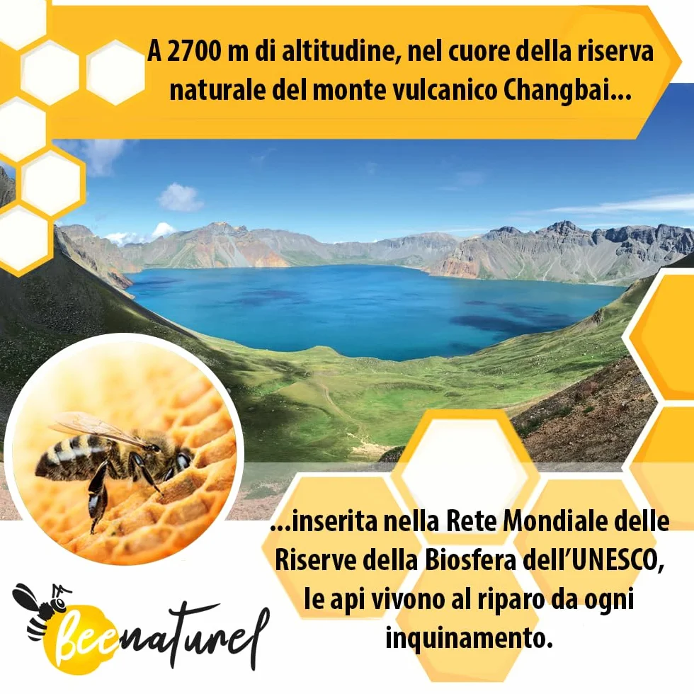 Pappa reale biologica e fresca 120g 100% naturale 120 baccelli da 1 grammo