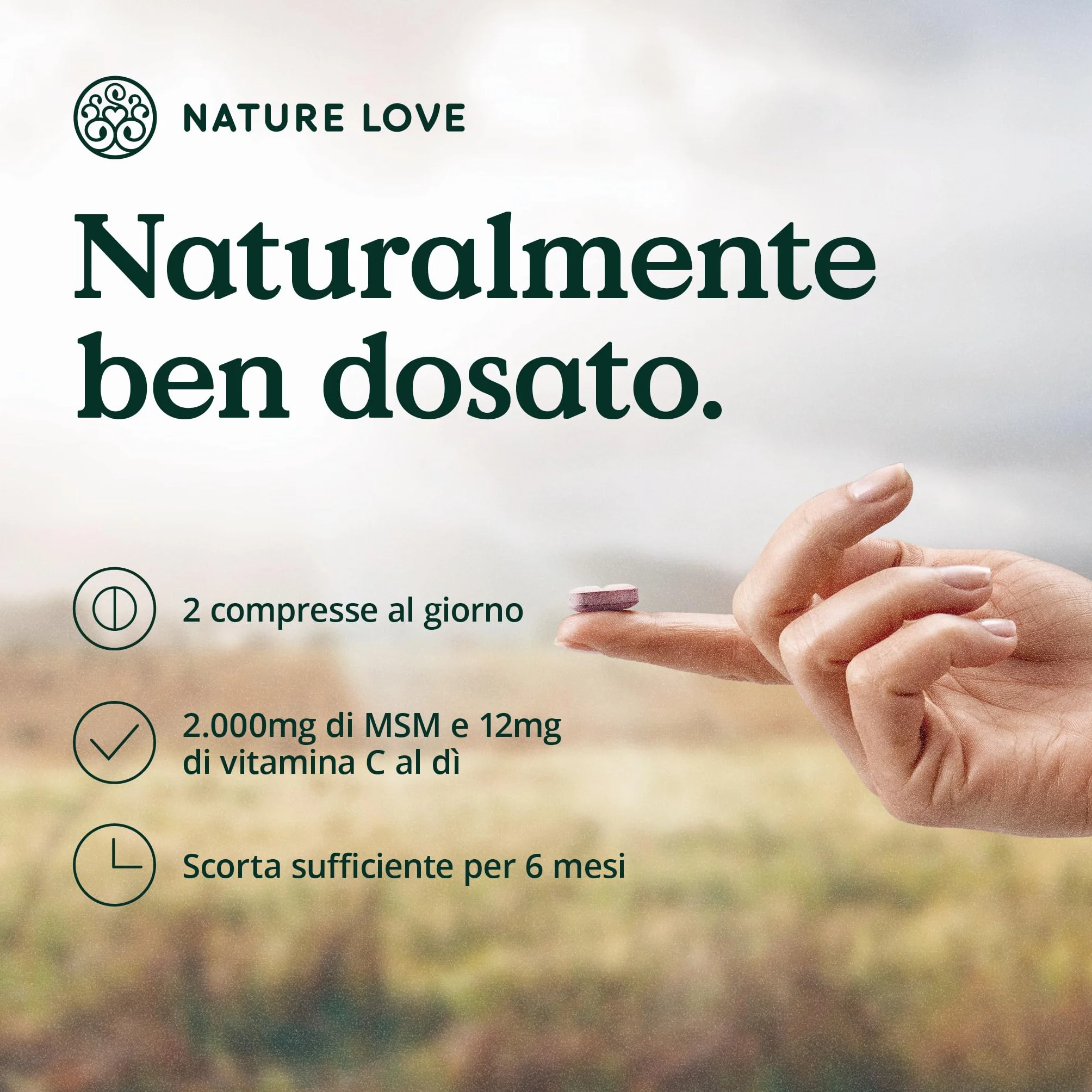 NATURE LOVE® MSM 2000 mg con vitamina C - 365 compresse - Integratore vegano ad alto dosaggio