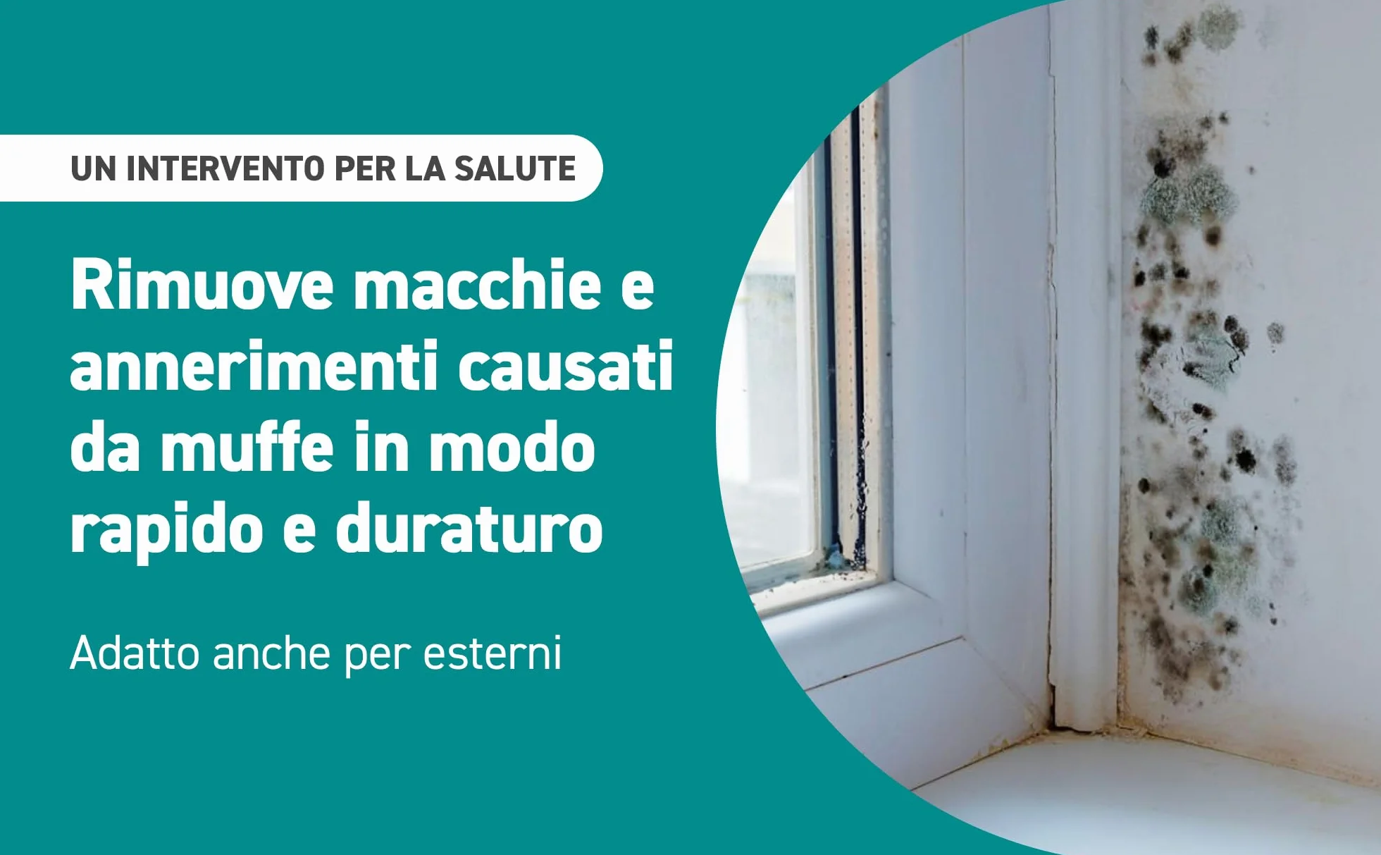 Spray Antimuffa Igienizzante MUFFAOUT 500ml Elimina Muffe Muschi Licheni Pareti Piastrelle