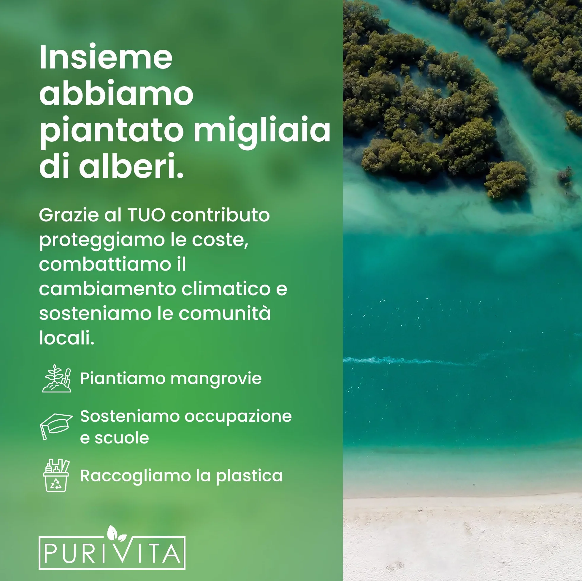 PURIVITA® Detergente Lavapavimenti Concentrato 1L - Detergente per Tergivetro ad Umido e Pavimenti
