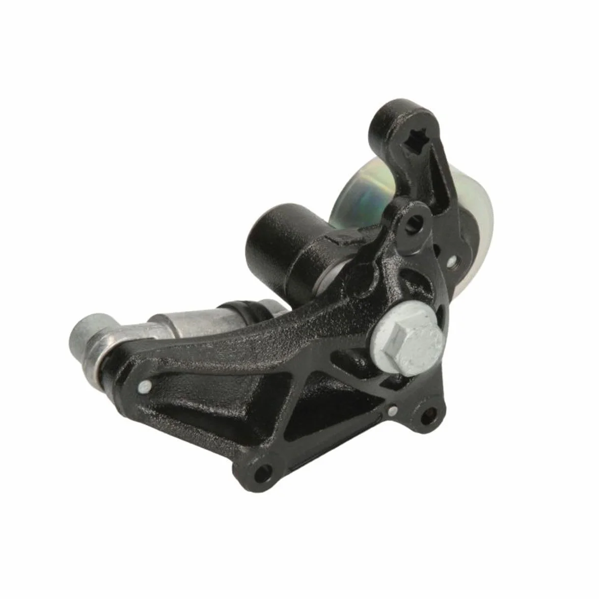 INA 534 0041 10 Braccio tenditore Cinghia Poly-V