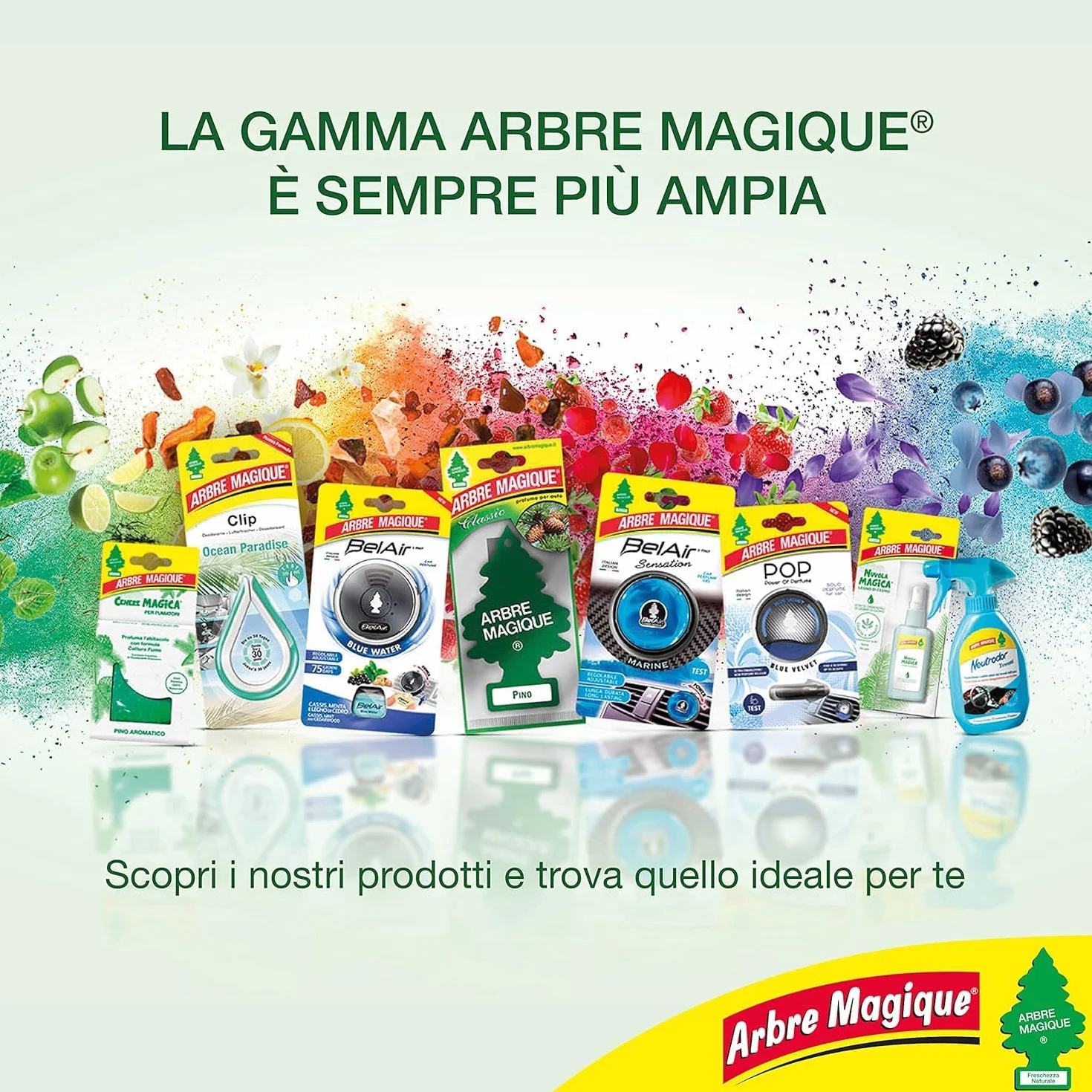 Arbre Magice Degustazione Olfattiva Profumatore Auto Box 24 Pezzi