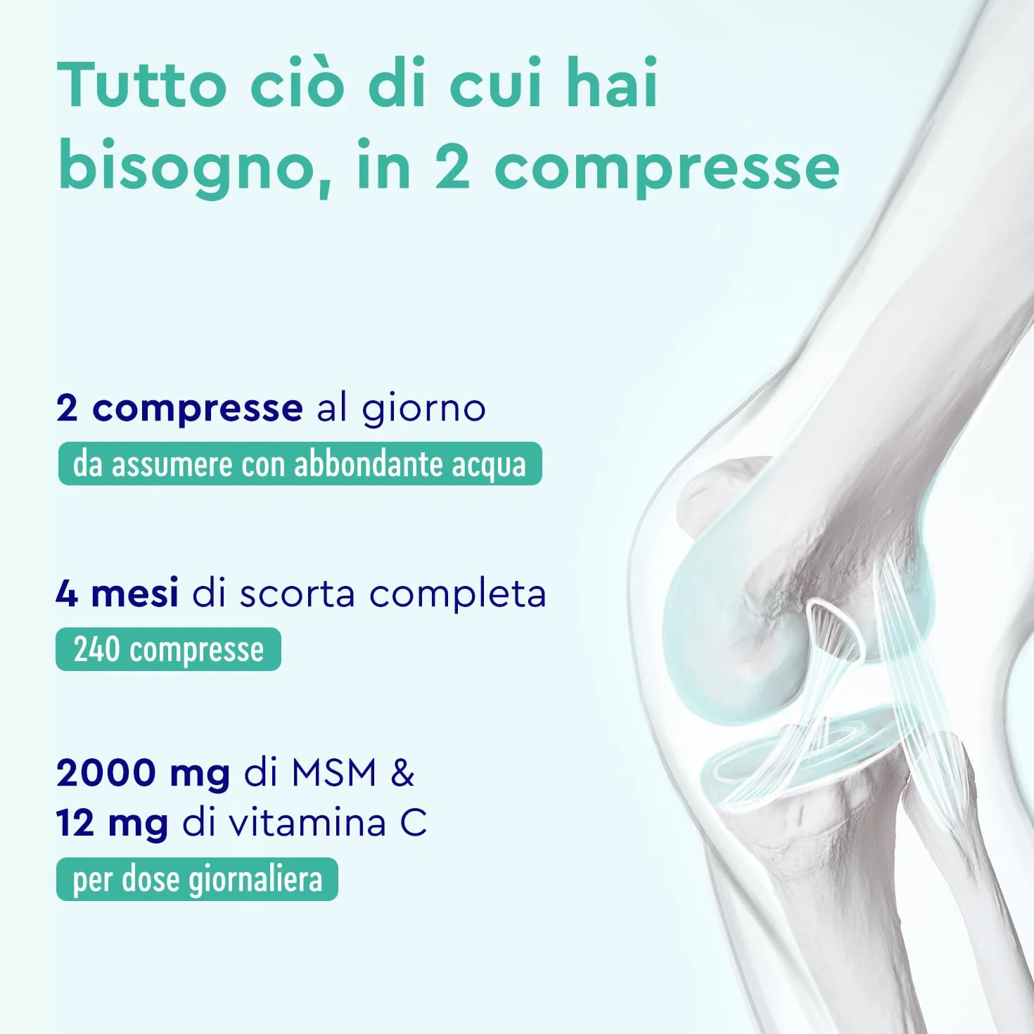 MSM 2000mg + Vitamina C Acerola 240 Compresse Alto Dosaggio - Metilsulfonilmetano Vegano per Ossa, Articolazioni, Pelle e Sistema Immunitario