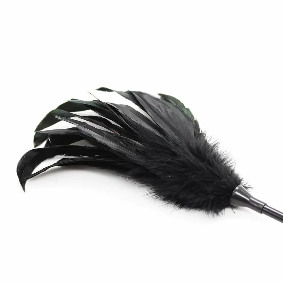 Faux Leather Satin Eye Mask with Feather Ticklers French Cut Role Play Kit