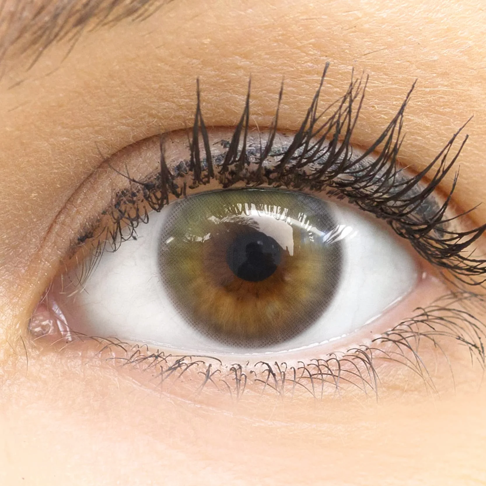 GLAMLENS Bardolino Green Lenti a Contatto Colorate Verdi - Mensili in Silicone Idrogel - 2 Pezzi - 0.00 Diottrie