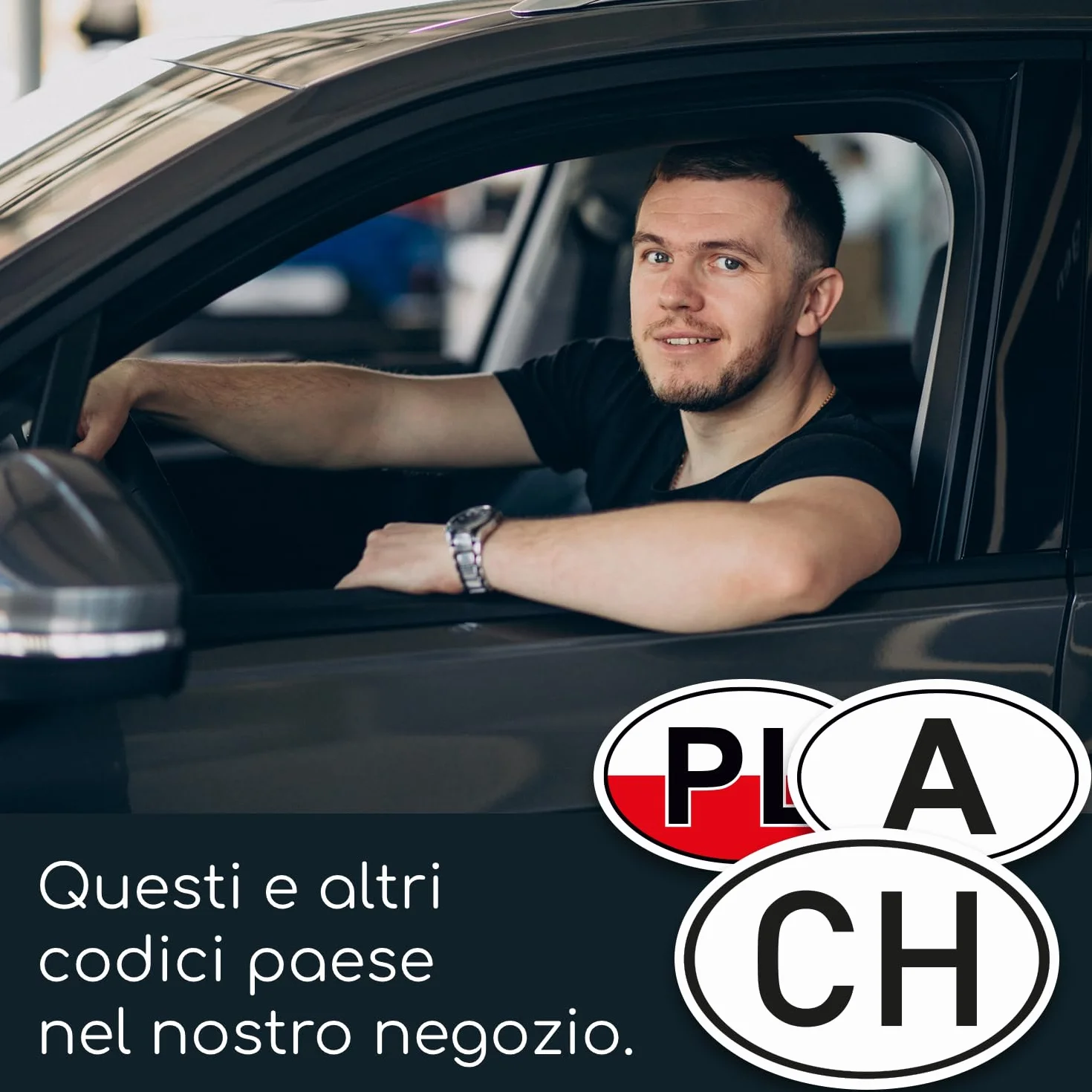 iSecur Targa magnetica Svizzera bianco-nero 17,5 x 11,5 cm DIN standardizzato auto camion camper