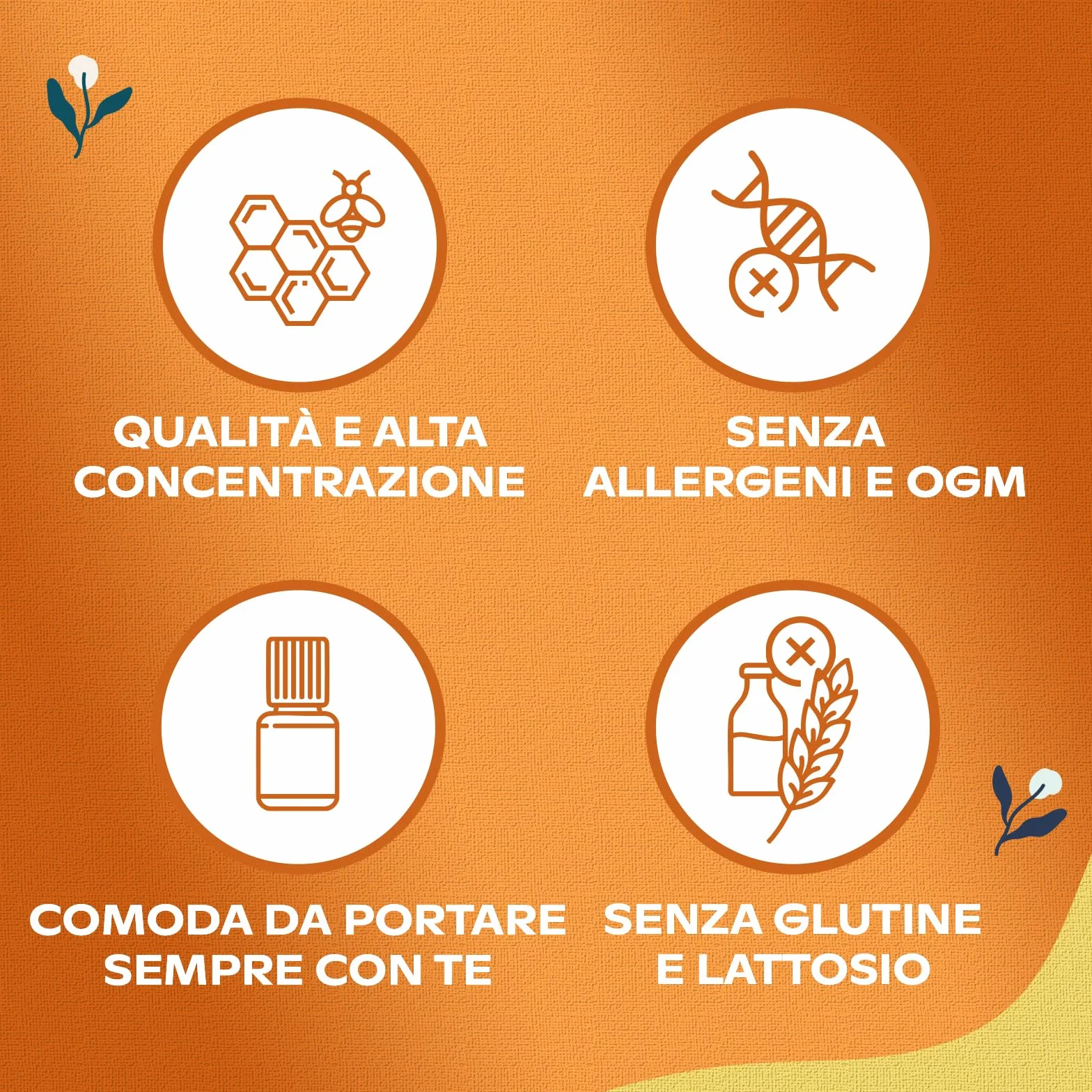 Pappa Reale Alma Farmacie Integratore Ricostituente con Vitamine B2 B5 B12 D e Acerola 12 Flaconcini
