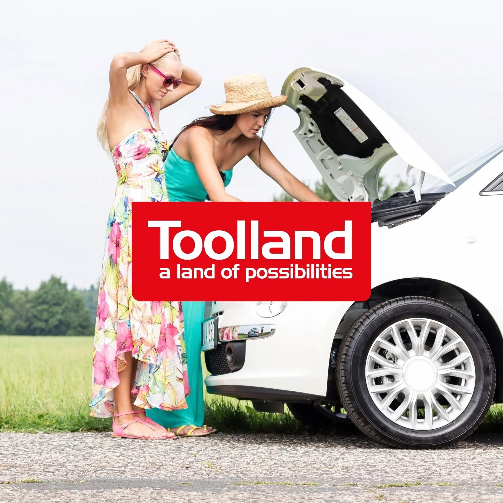 Toolland AC15 Caricatore per 12/24 V al piombo acido da batterie con funzione Boost, 300 mm x 210 mm x 185 mm dimensioni
