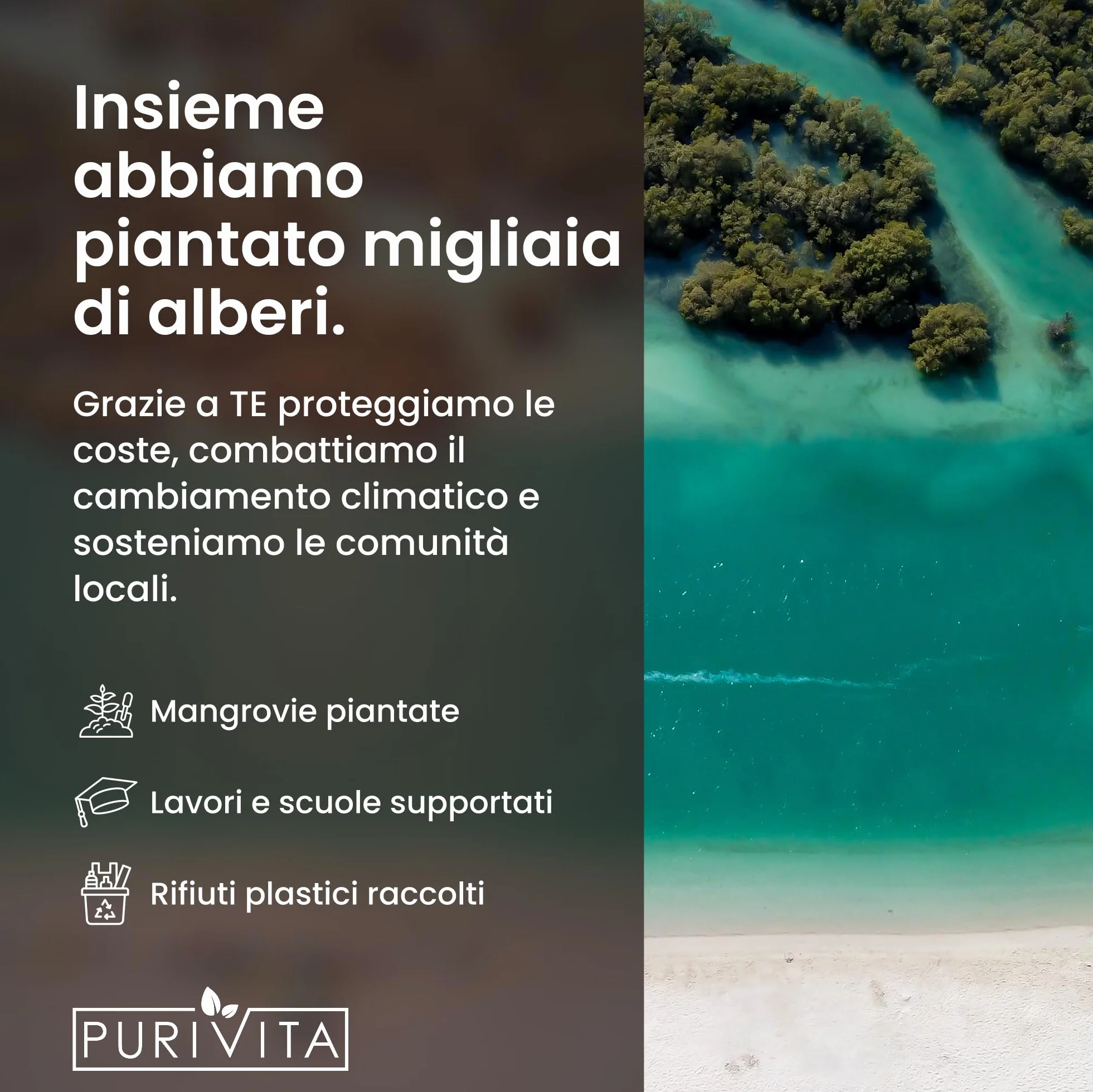 PURIVITA® Pulitore di Tappezzeria 750ml - Detersivo per Tappeti - Concentrato 1:30 Senza APEO e Fosfati