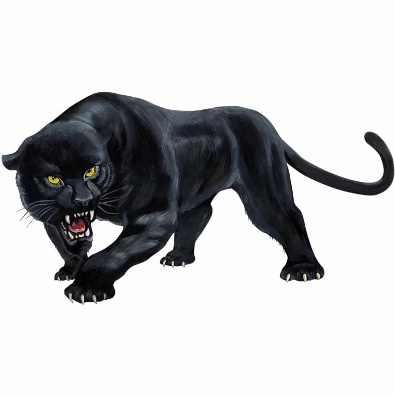 Animale pantera nera Vinile Adesivo Auto Decorazione Auto