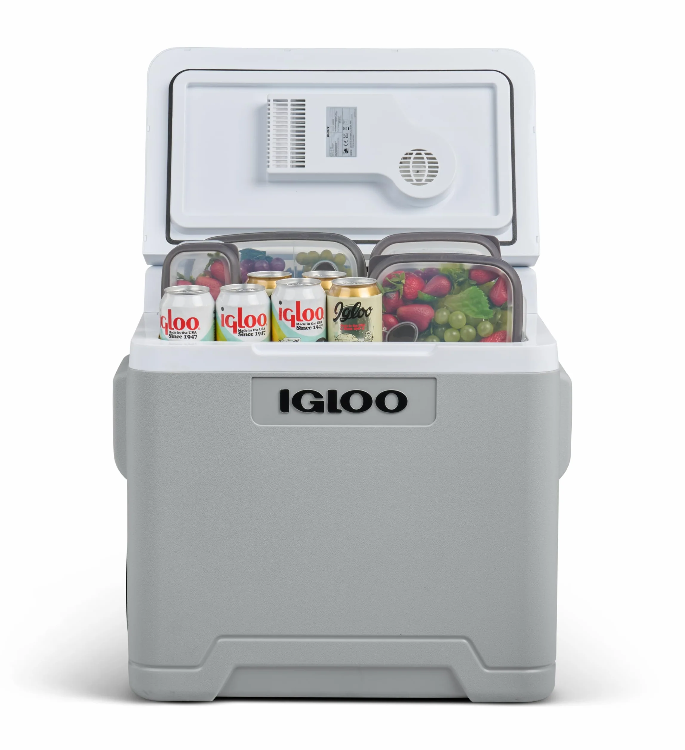 IGLOO IE42 Frigo Elettrico 12V 230V 42L Mini Frigorifero Compatto per Auto Campeggio